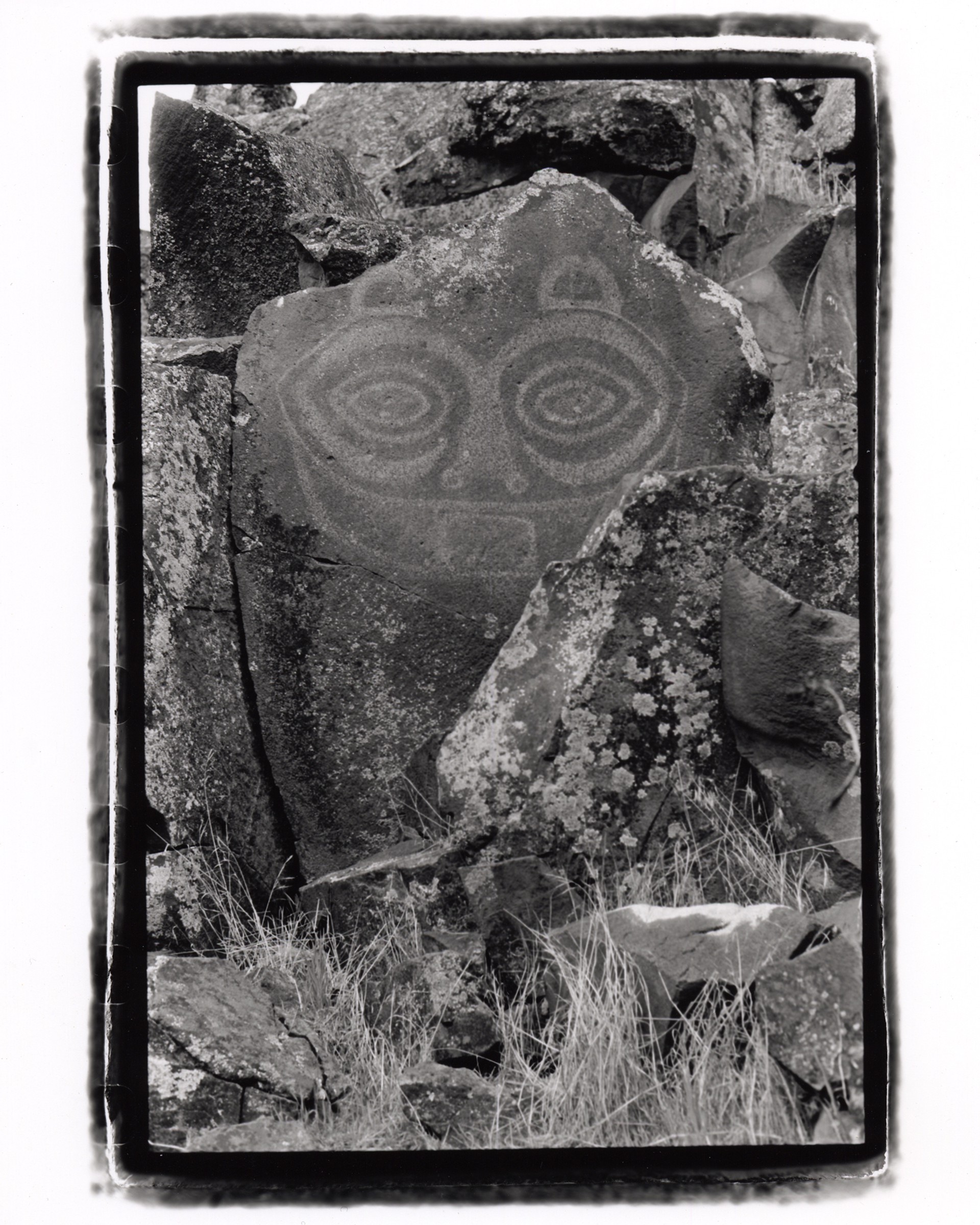 She Who Watches by Lloyd Kimeldorf, 2025