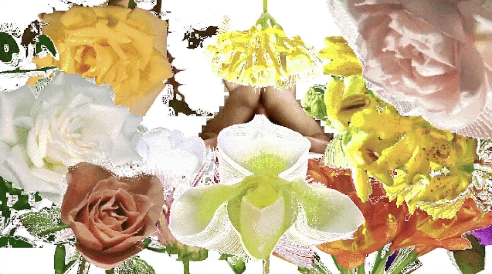 Linguine Primavera by Lorna Mills, 2013