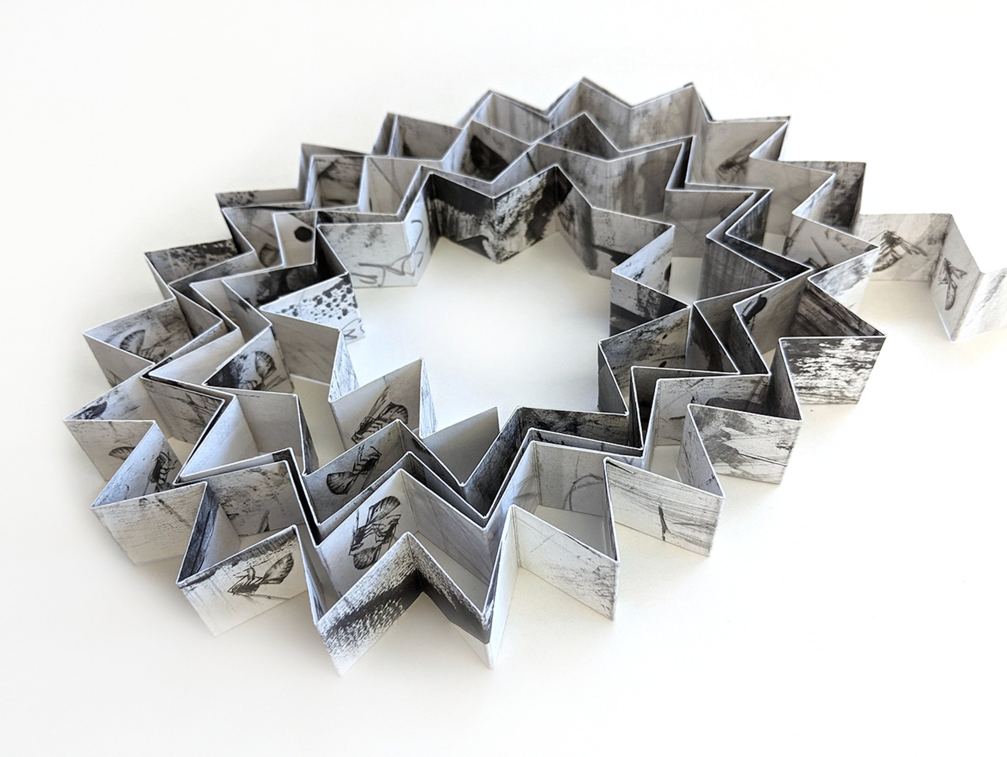 Artwork by Louisa Crispin, Field Studies 002 ~ Hornets, Made of Drawing, Photograph 