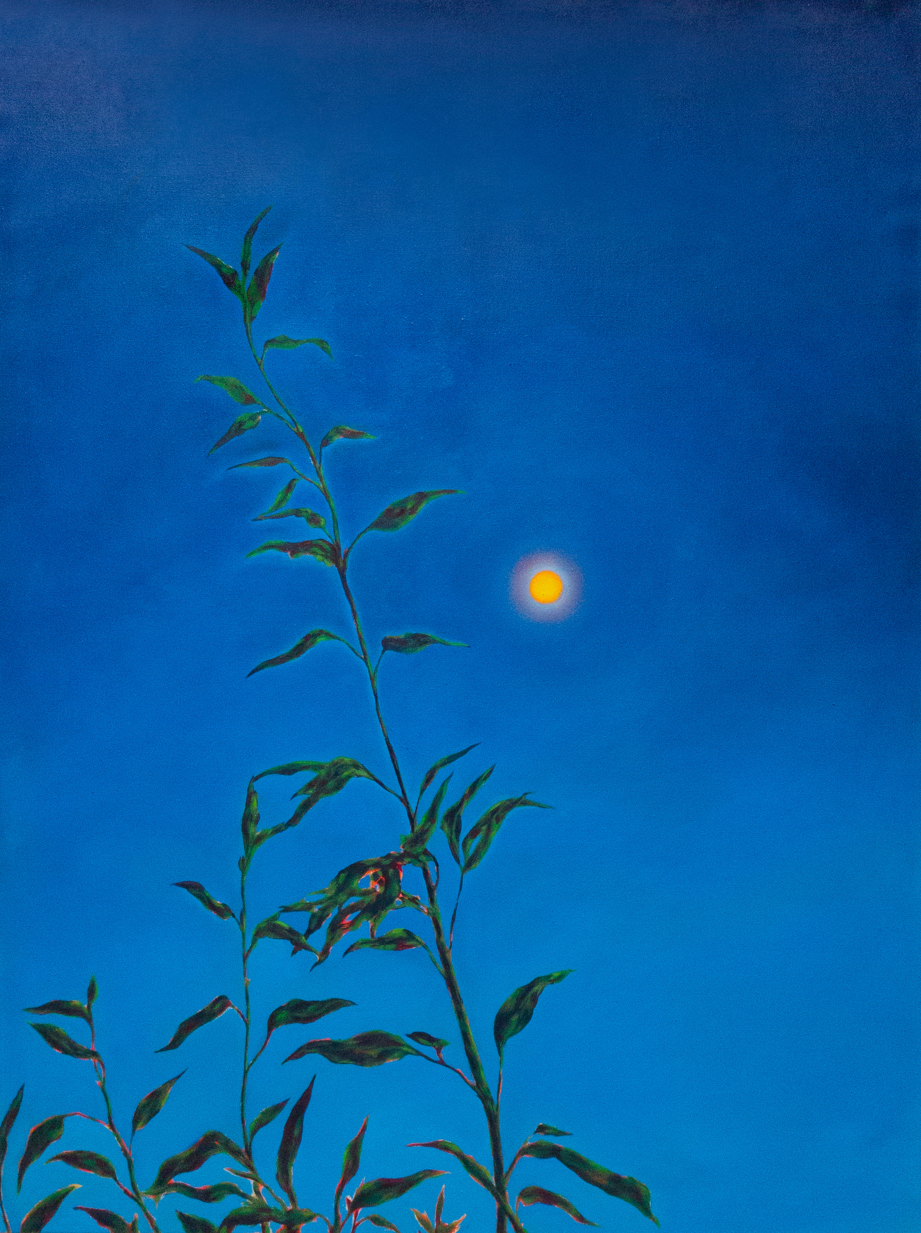 Blaue Stunde by Lukrezia Krämer, 2024