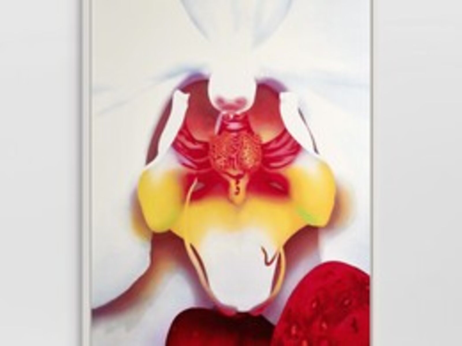 Portraits of Landscapes (Portfolio of 8)