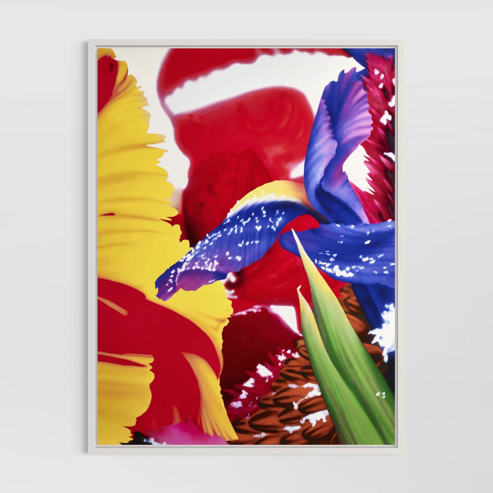 Portraits of Landscapes (Portfolio of 8)