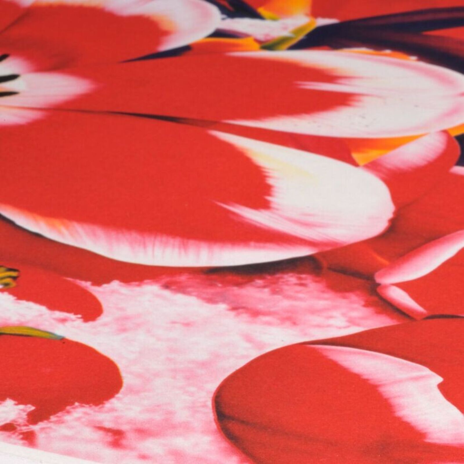 Six Moments of Sunrise (Portfolio of 6)