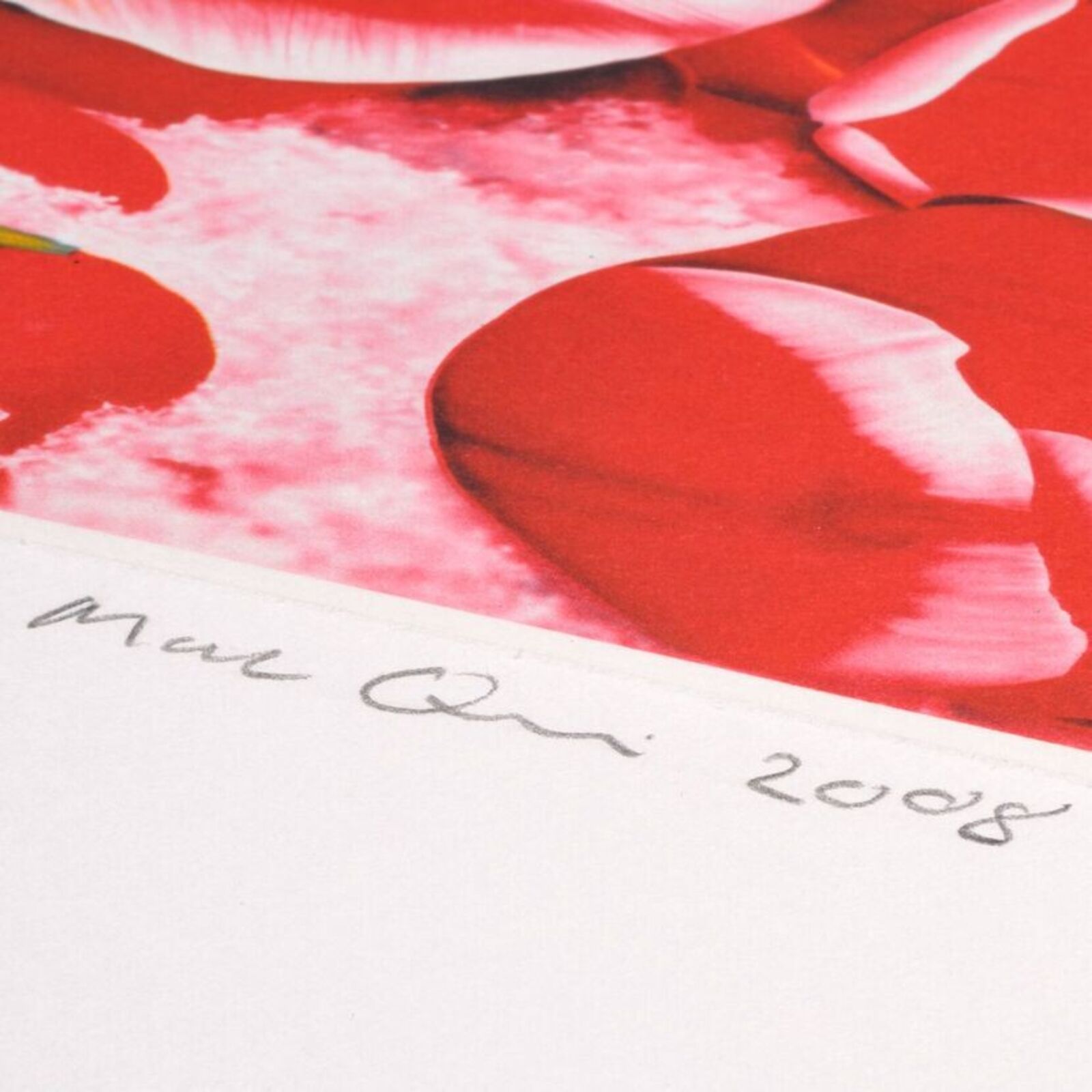 Six Moments of Sunrise (Portfolio of 6)