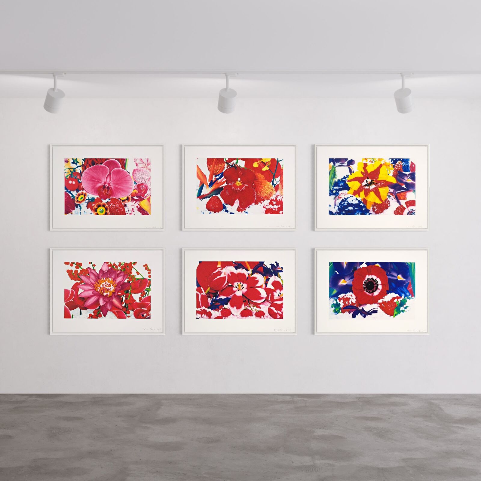 Six Moments of Sunrise (Portfolio of 6) by Marc Quinn, 2008