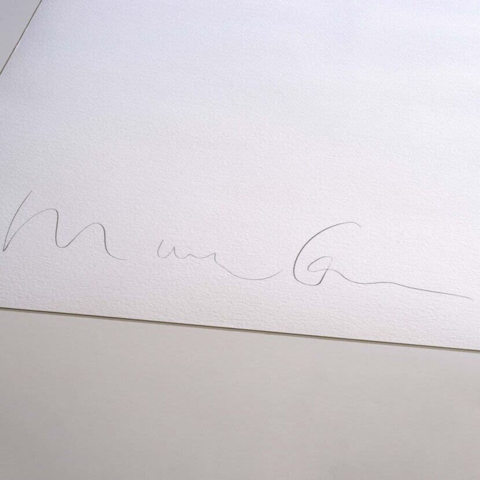 Winter Garden (Portfolio of 8)