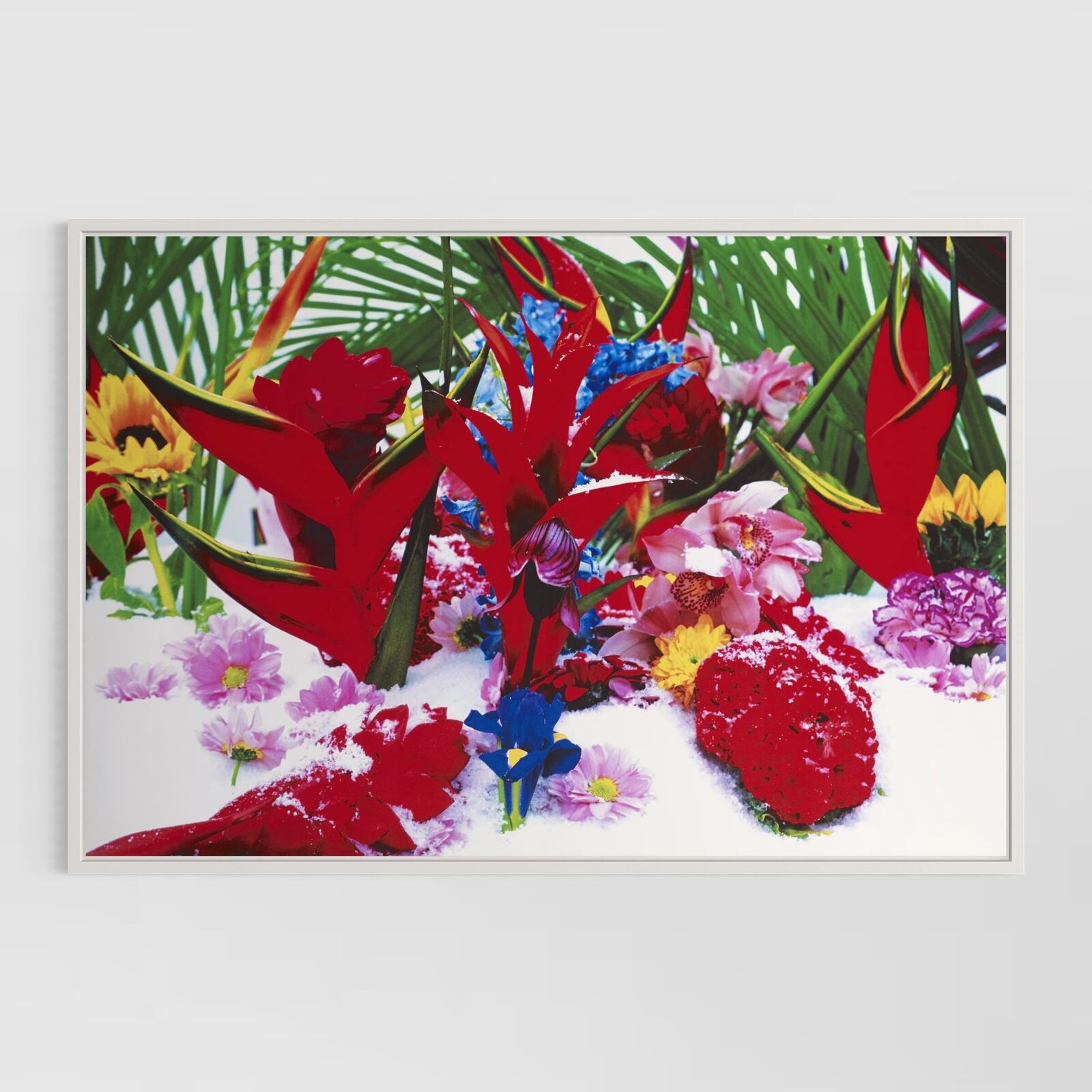 Winter Garden (Portfolio of 8)