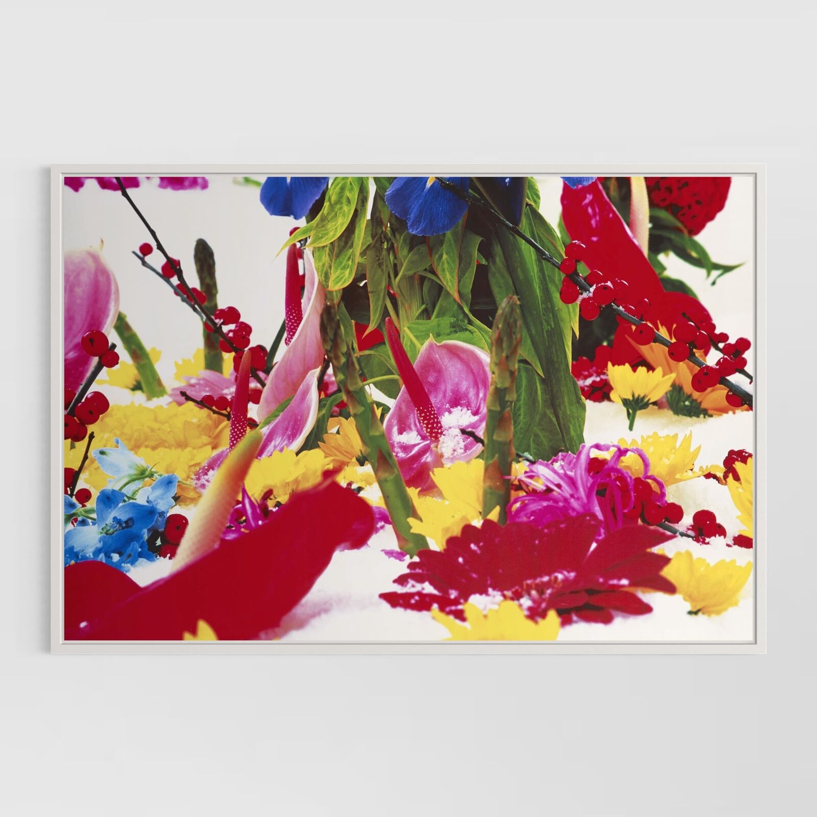 Winter Garden (Portfolio of 8)