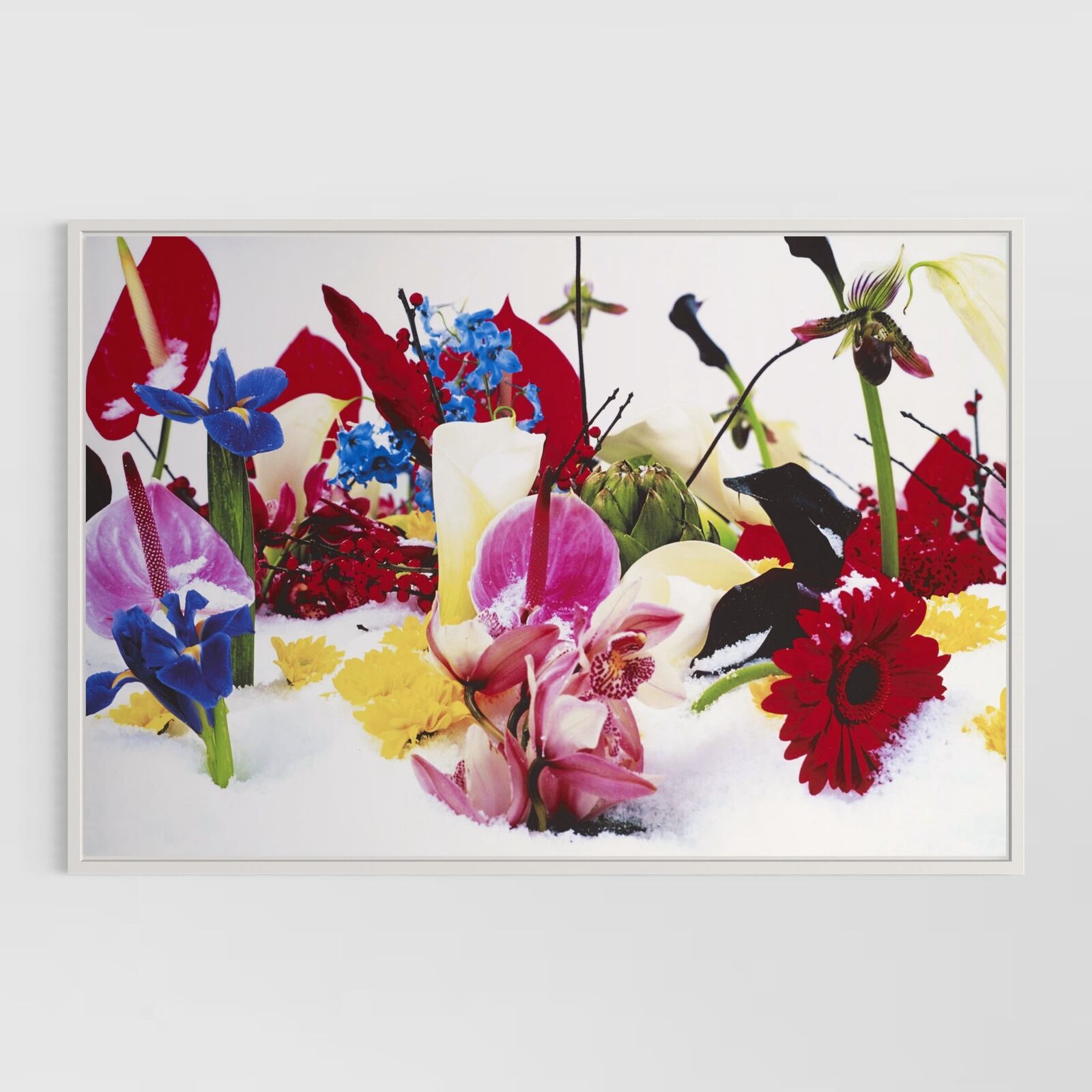 Winter Garden (Portfolio of 8)