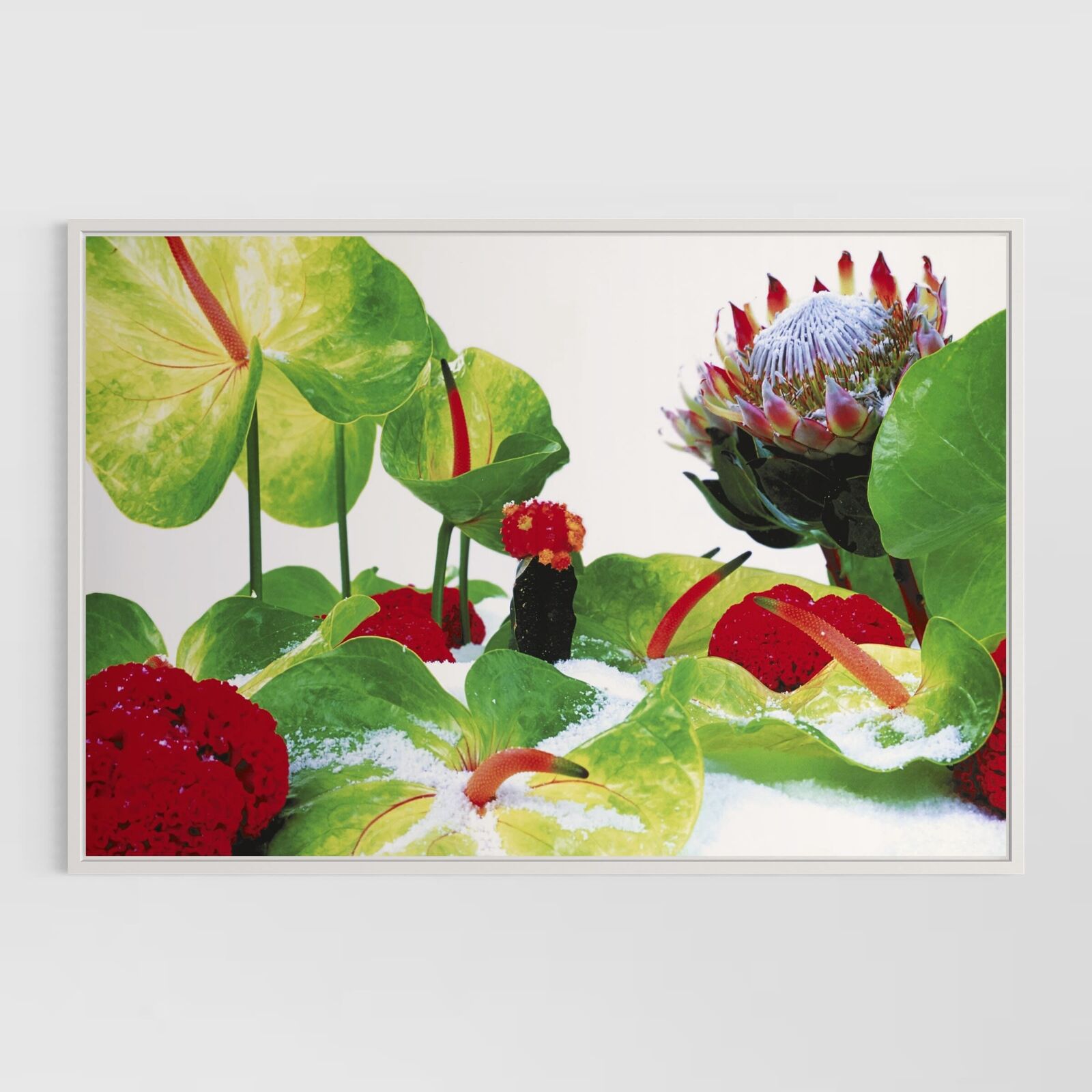 Winter Garden (Portfolio of 8)