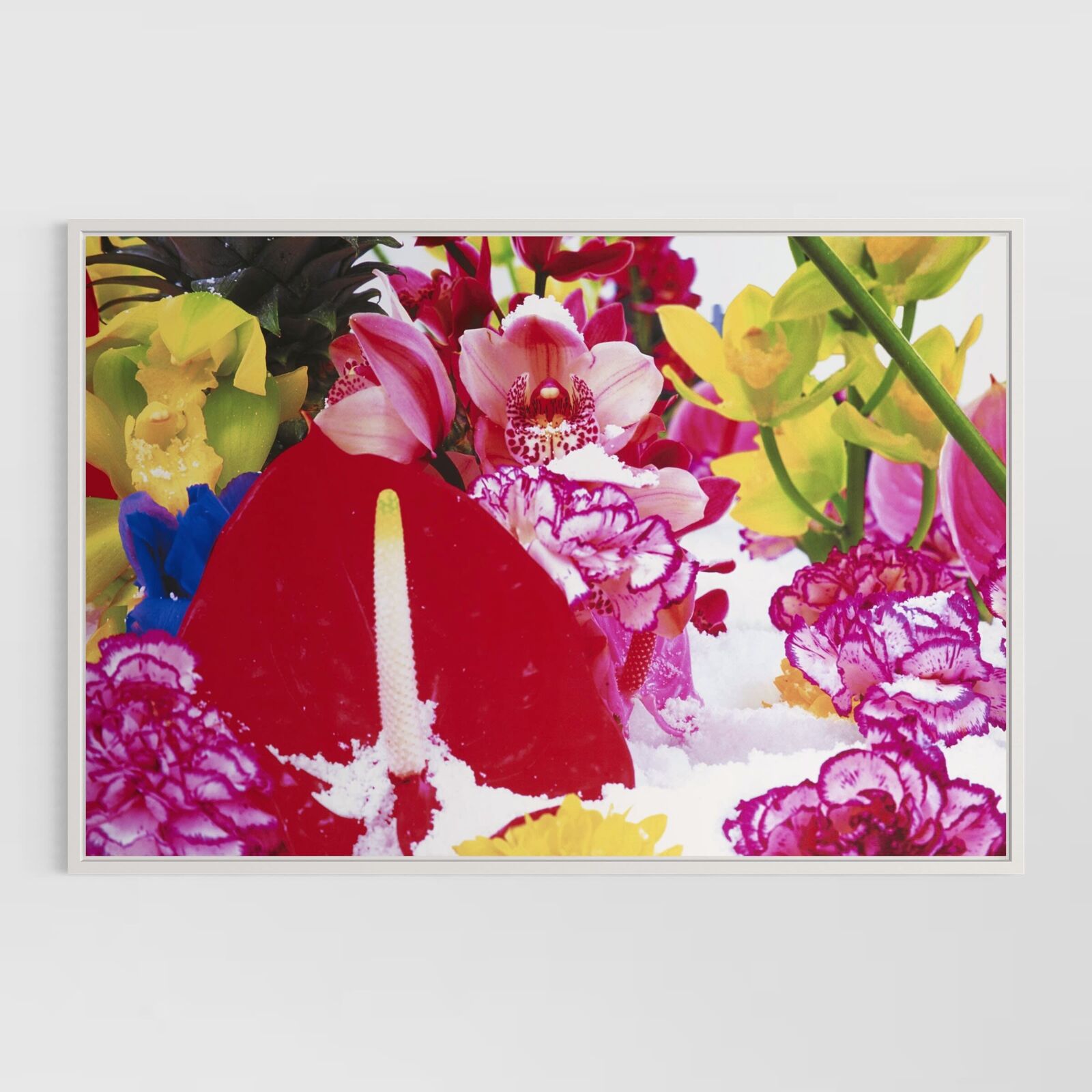 Winter Garden (Portfolio of 8)