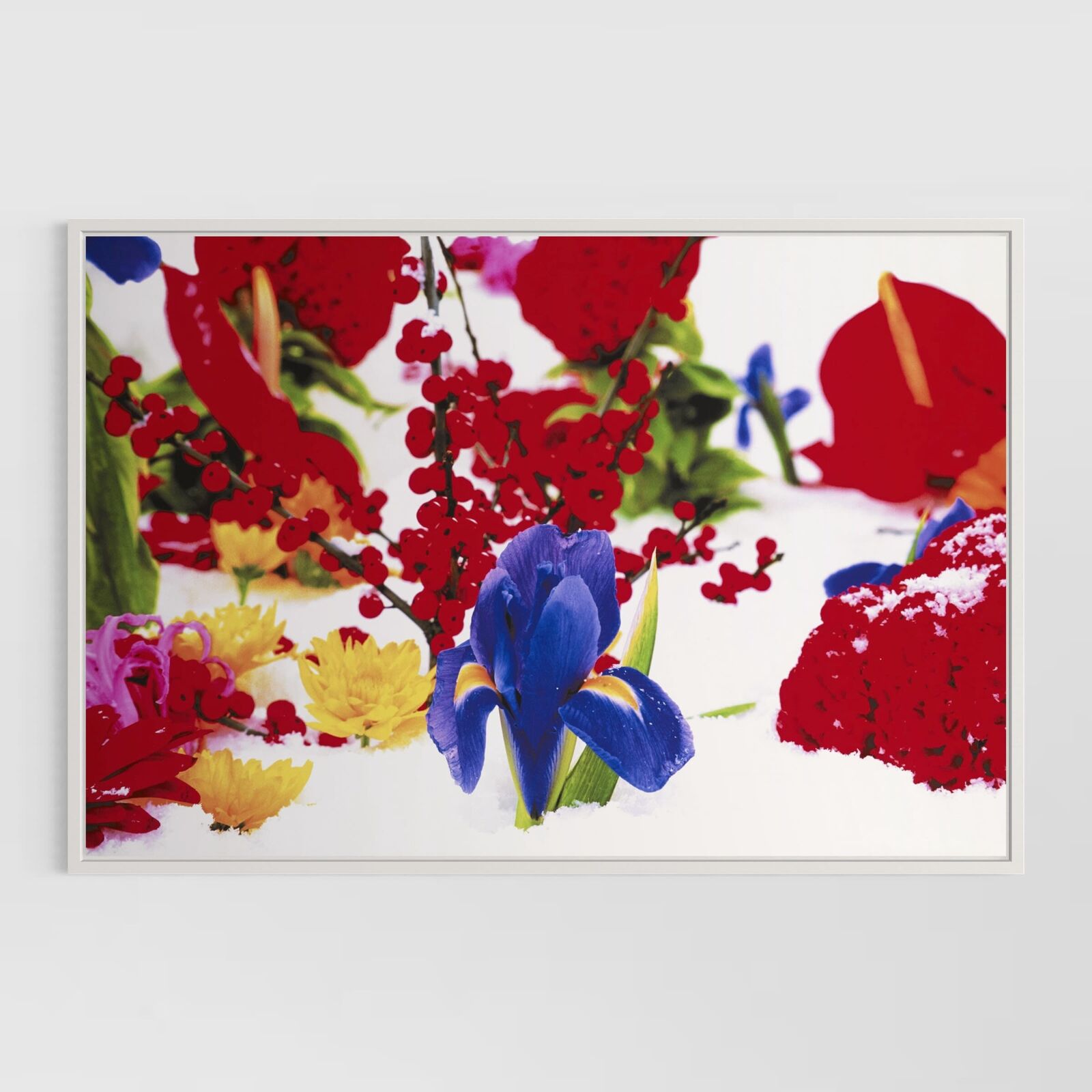 Winter Garden (Portfolio of 8)