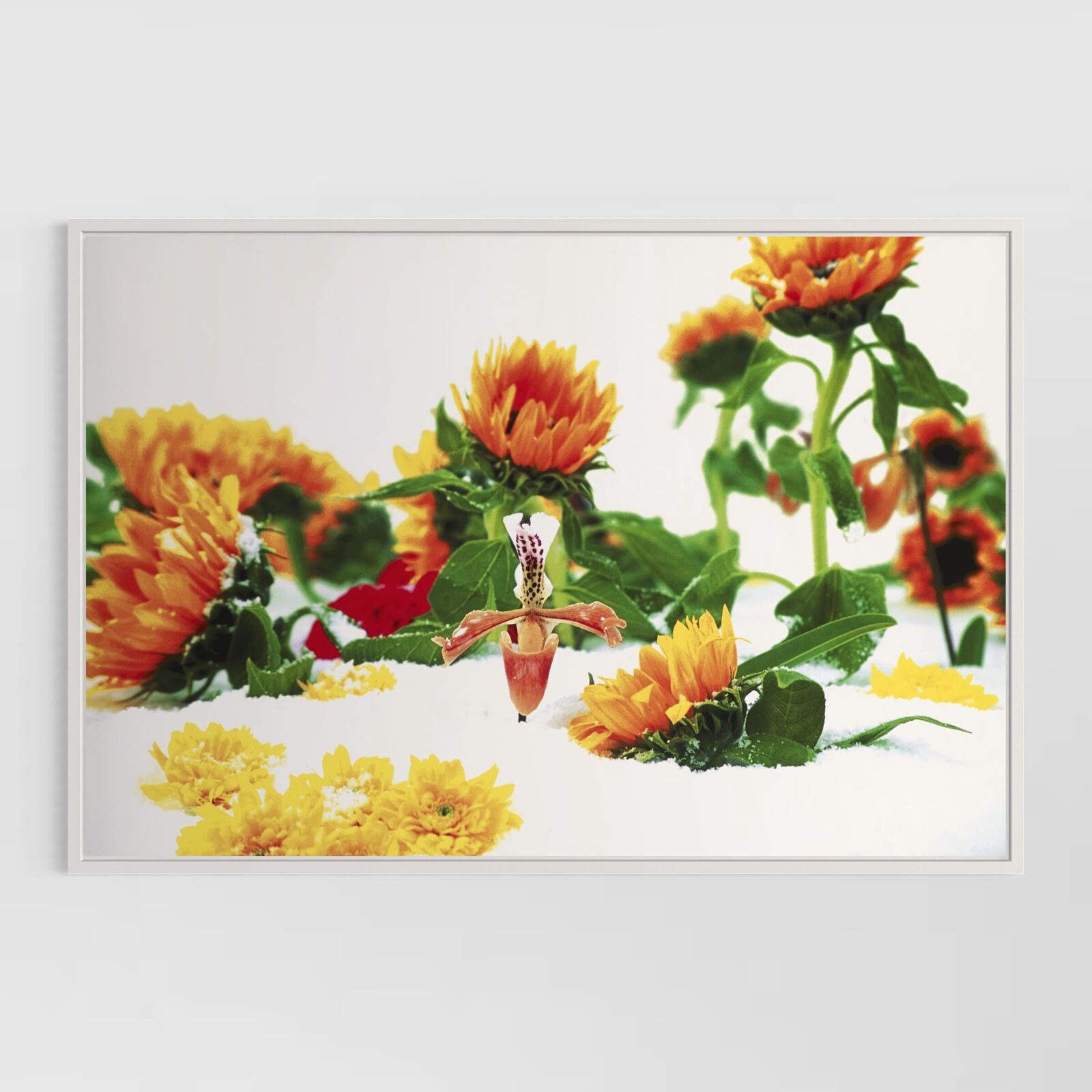 Winter Garden (Portfolio of 8)