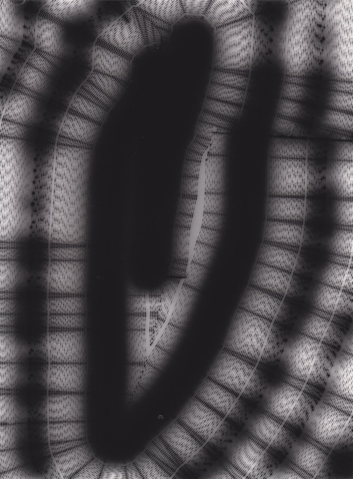 Artwork by Marcel Schwittlick , It is what it is #66, Made of Plotter drawing, Laser drawing on photopaper, Luminogram 