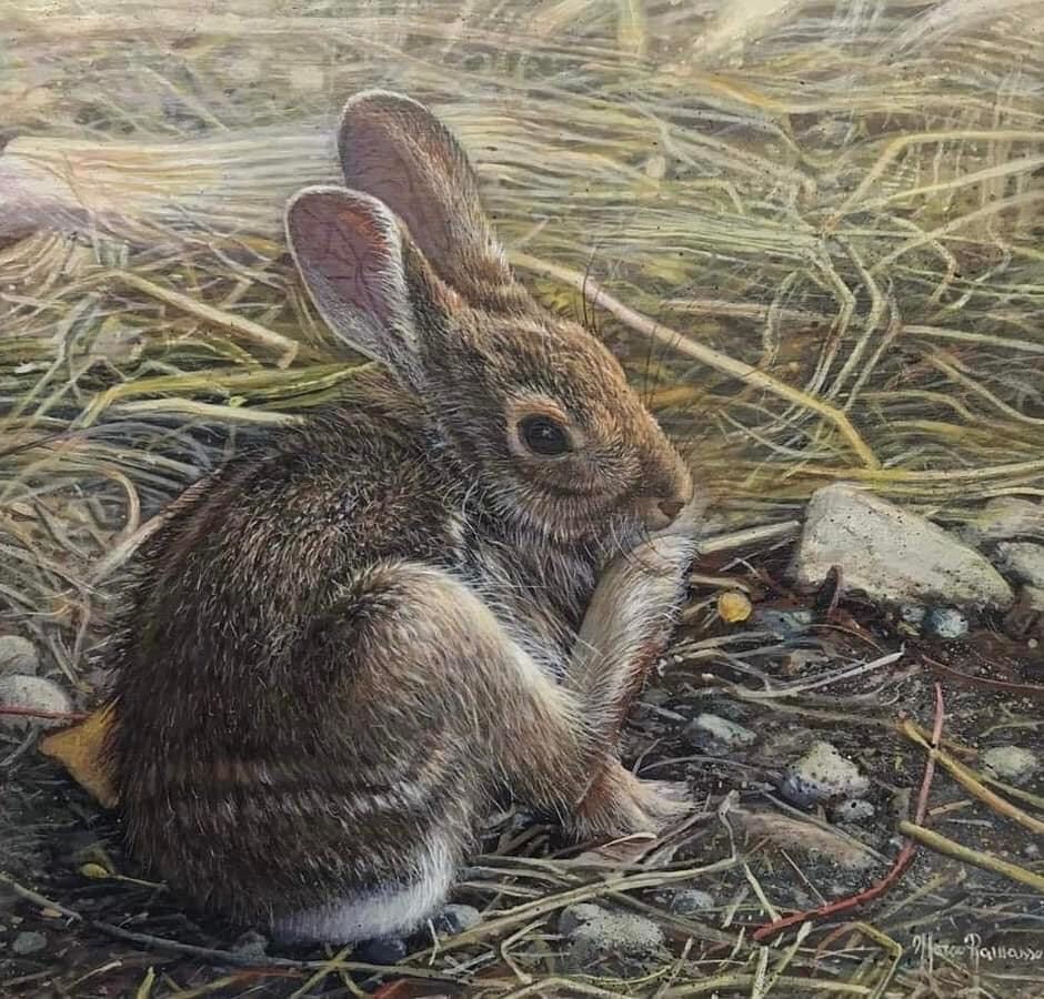 A painting of a rabbit sitting on the ground.