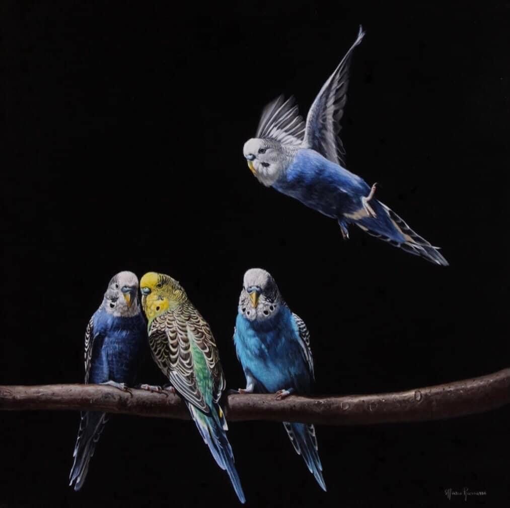 A painting of three parakeets sitting on a branch.