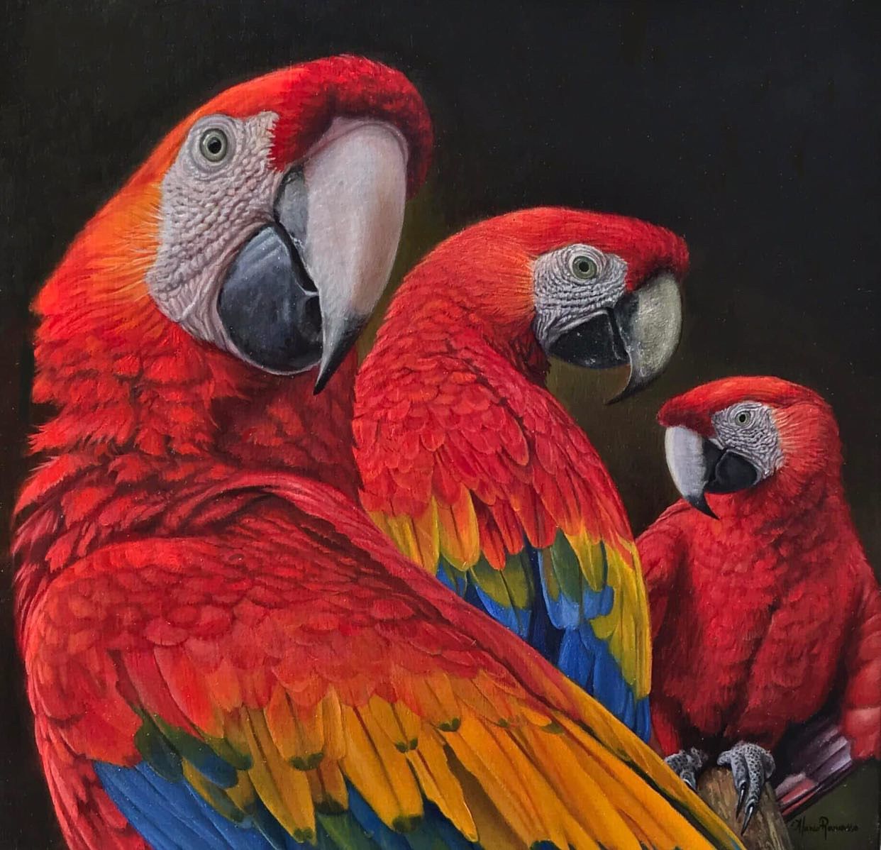 A painting of three colorful parrots sitting on a branch.