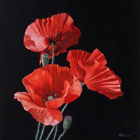 Poppies by Marco Ramasso, null