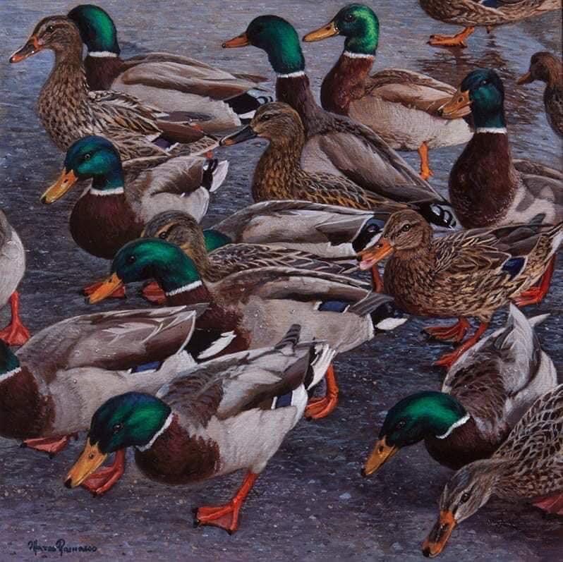 Sulla Riva Del Lago by Marco Ramasso, null