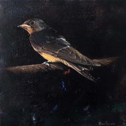 Swallow by Marco Ramasso, 1964