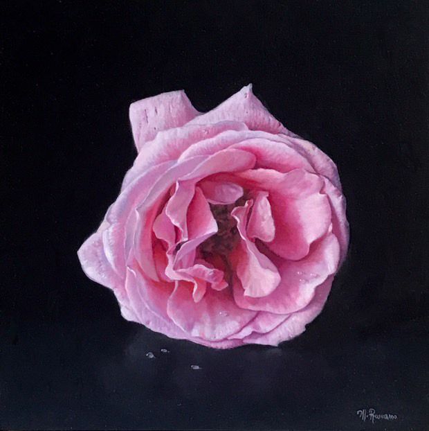 La Rosa di Afrodite by Marco Ramasso, null