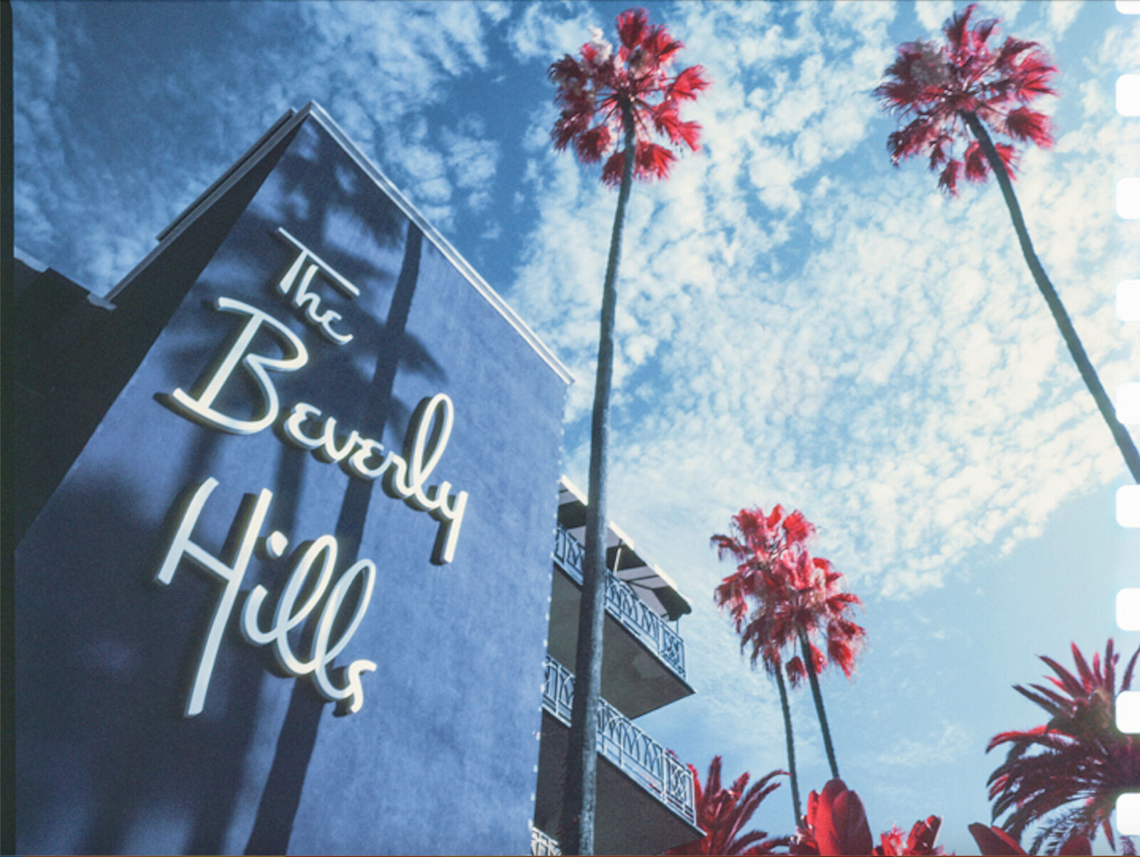 Beverly at Sunrise by Marco Walker, 2024