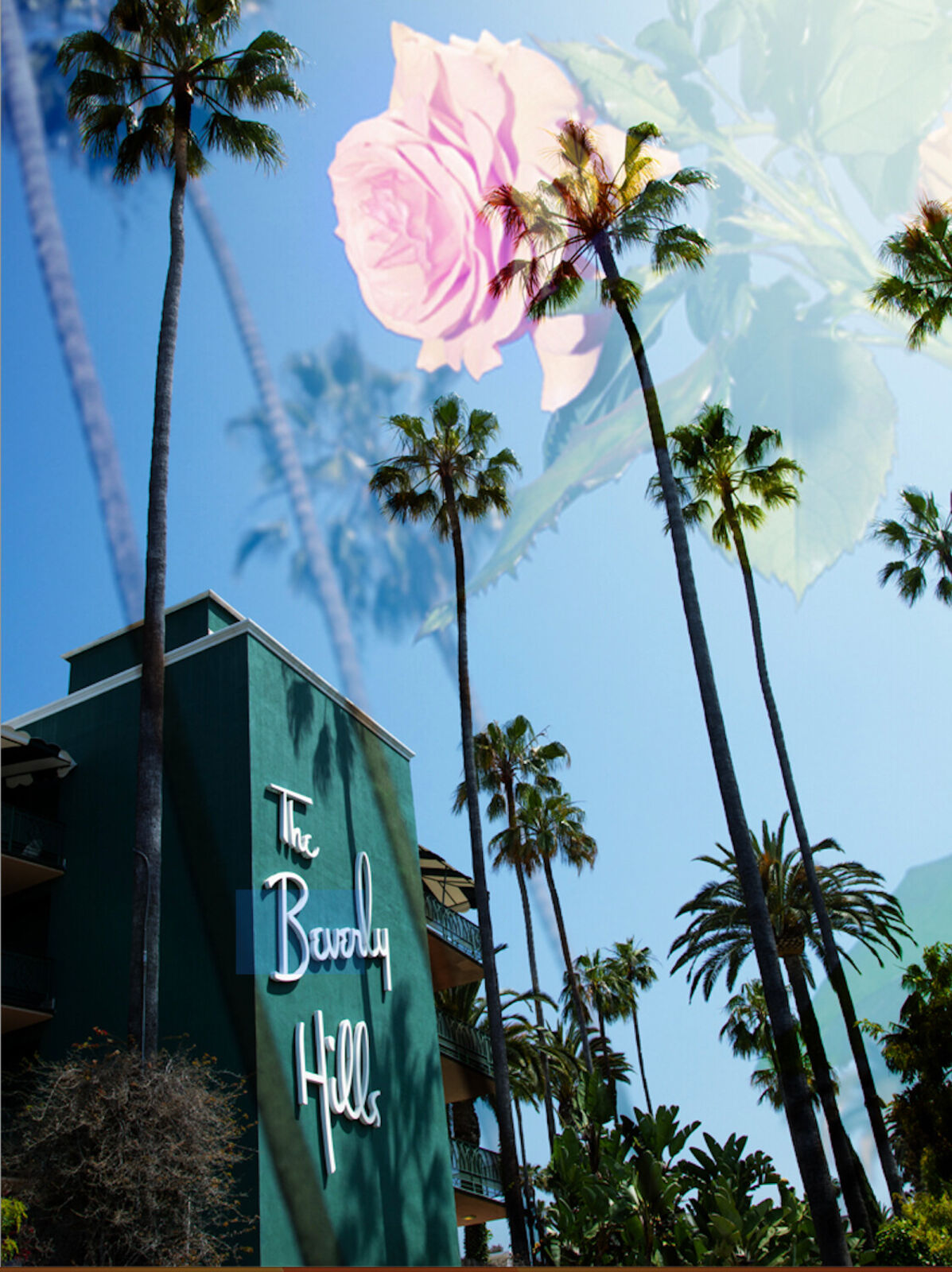 A building with a pink rose in front of it.