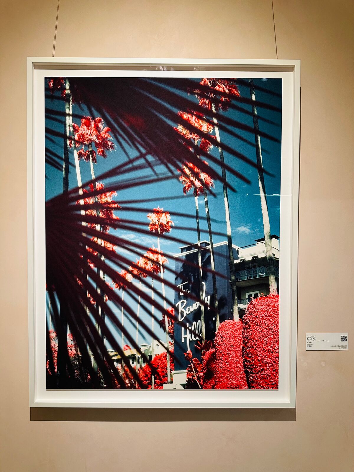 Artwork by Marco Walker, Beverly Palm, Made of Archival Giclee 