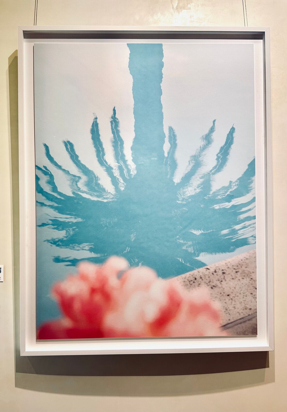 Artwork by Marco Walker, Pink Palm, Made of Archival Giclee 