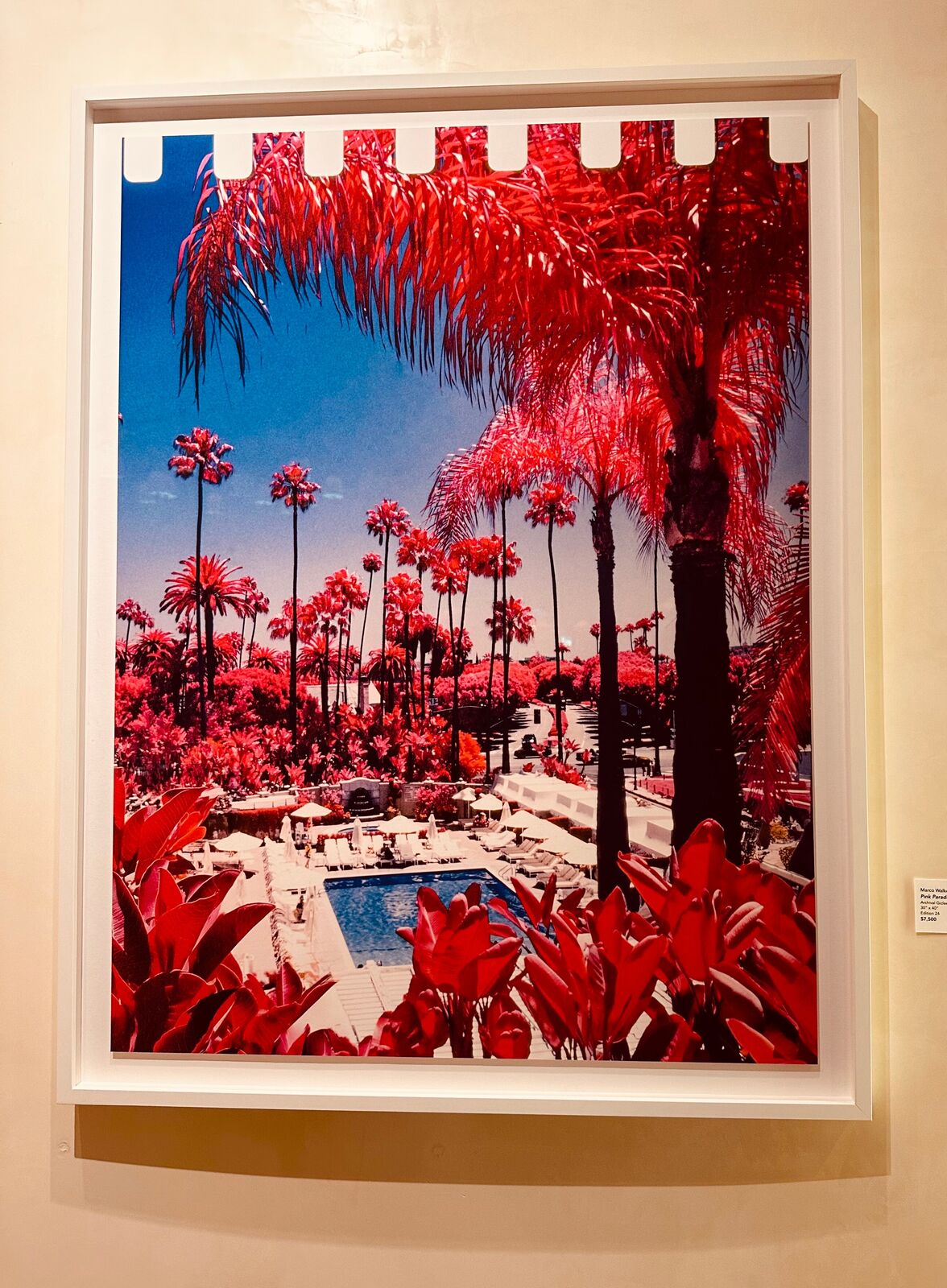 Artwork by Marco Walker, Pink Paradiso, Made of Archival Giclee 