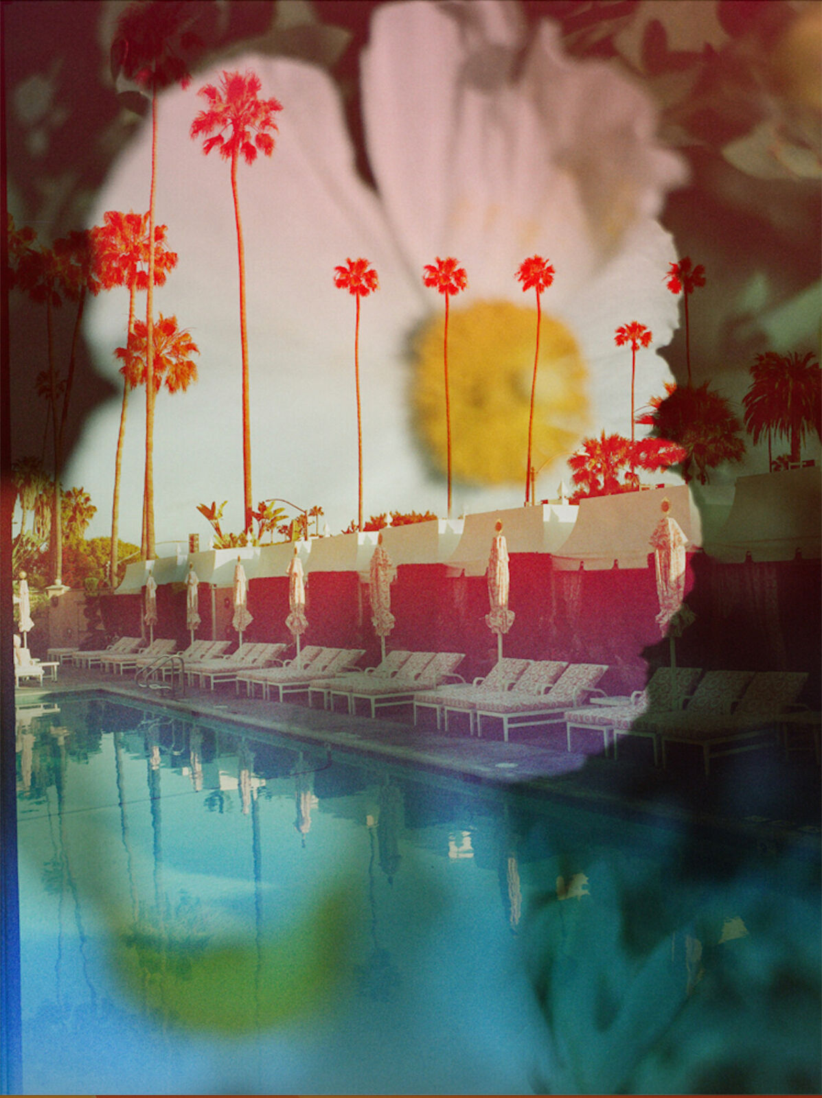 Sunset Dreamscape by Marco Walker, 2024