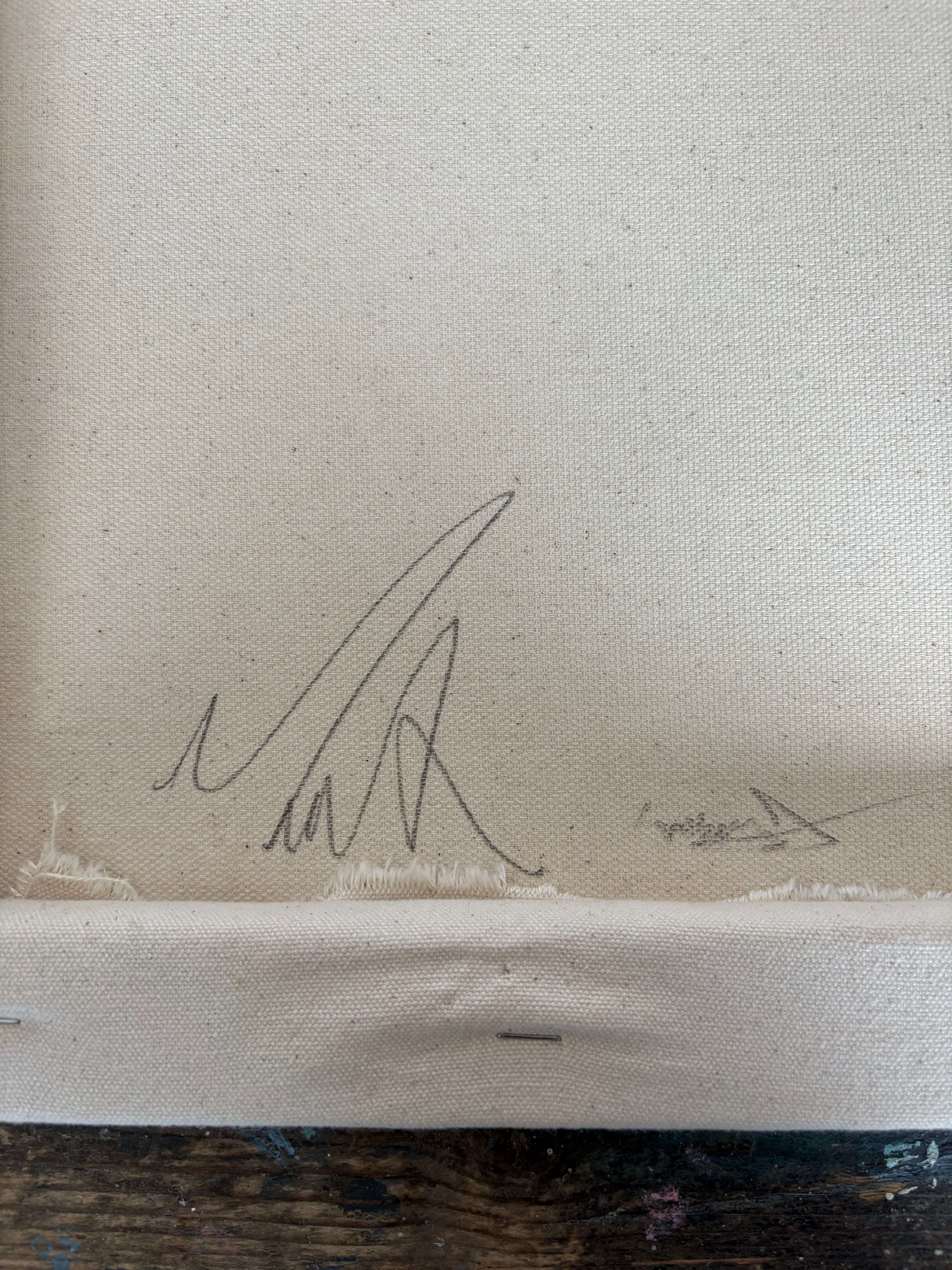 Artwork by Marcus Aitken, Venus, Made of Acrylic and textiles on canvas 