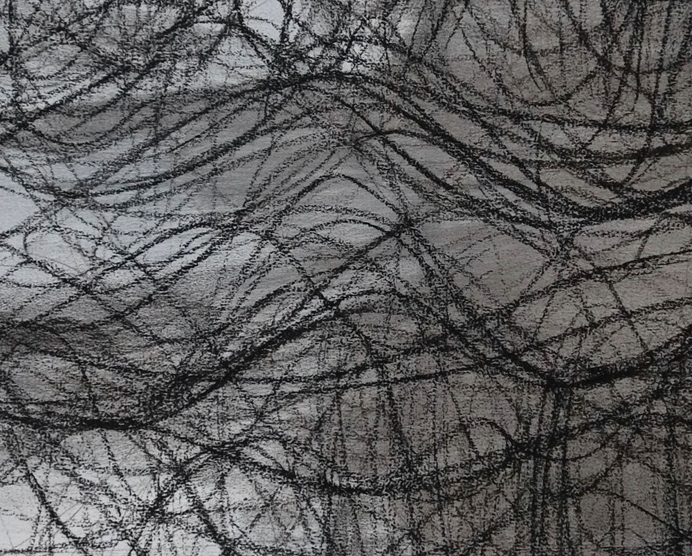 Artwork by Margaret Neill, Spring Breeze, Made of Charcoal and acrylic paint on canvas 