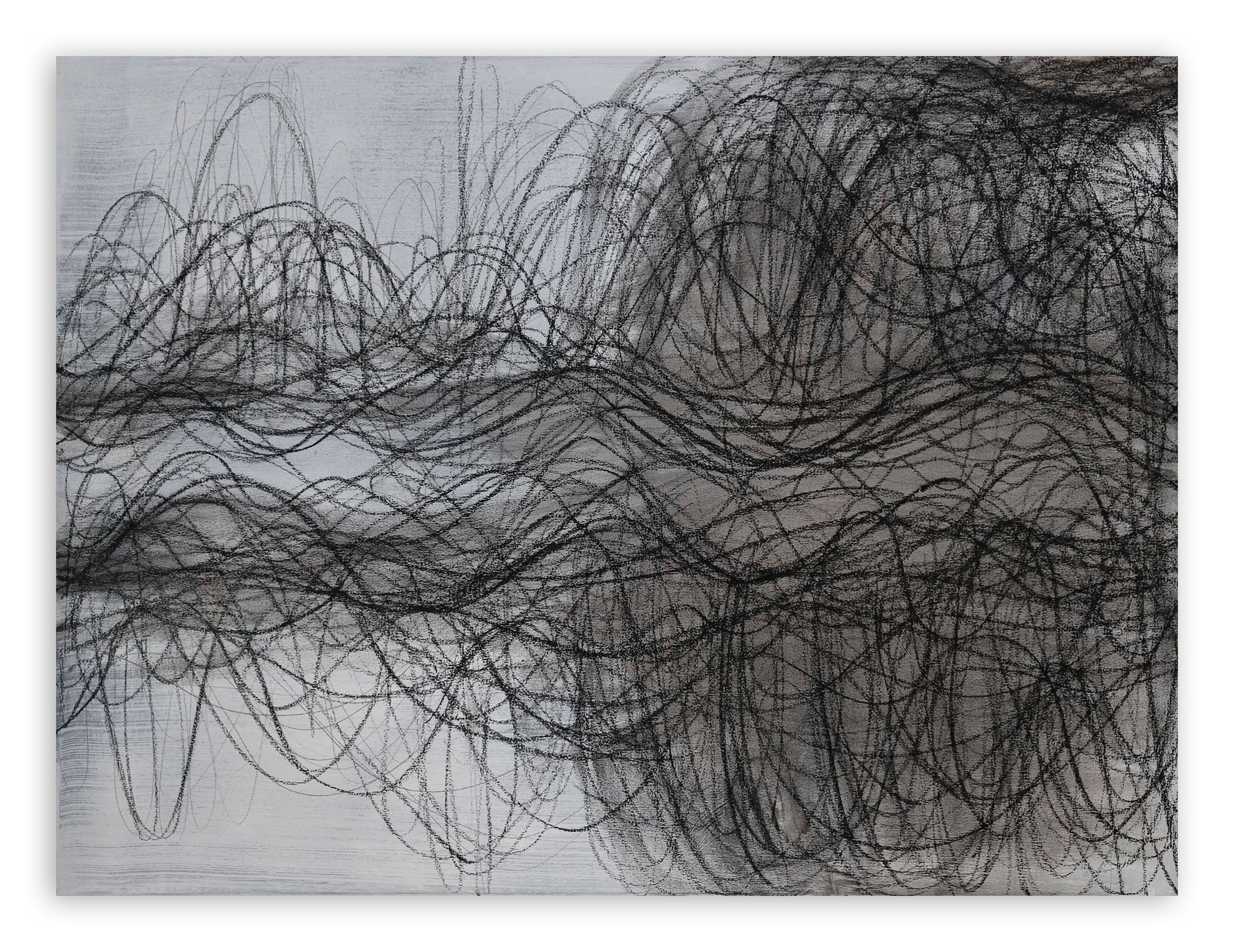 Artwork by Margaret Neill, Spring Breeze, Made of Charcoal and acrylic paint on canvas 