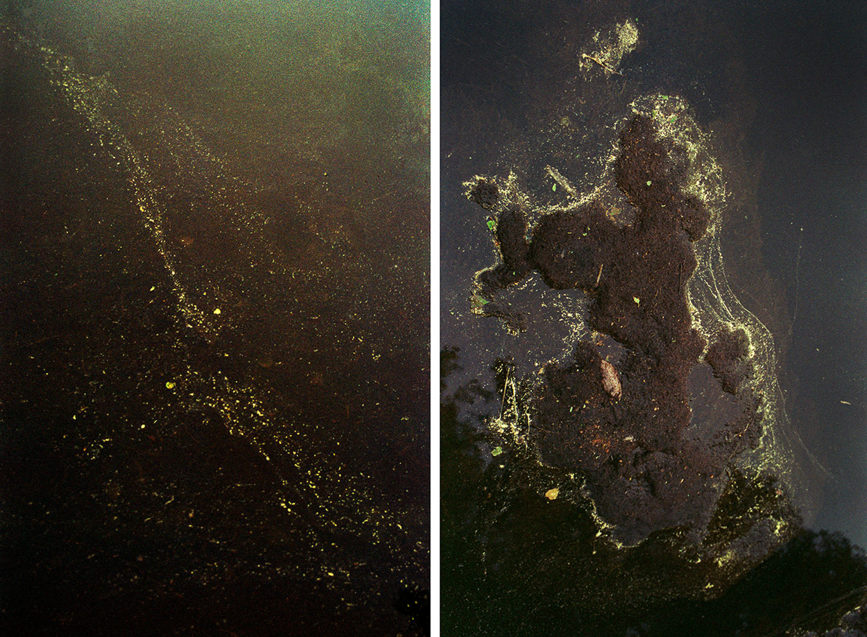 Anaphora by Mari Amman, 2016