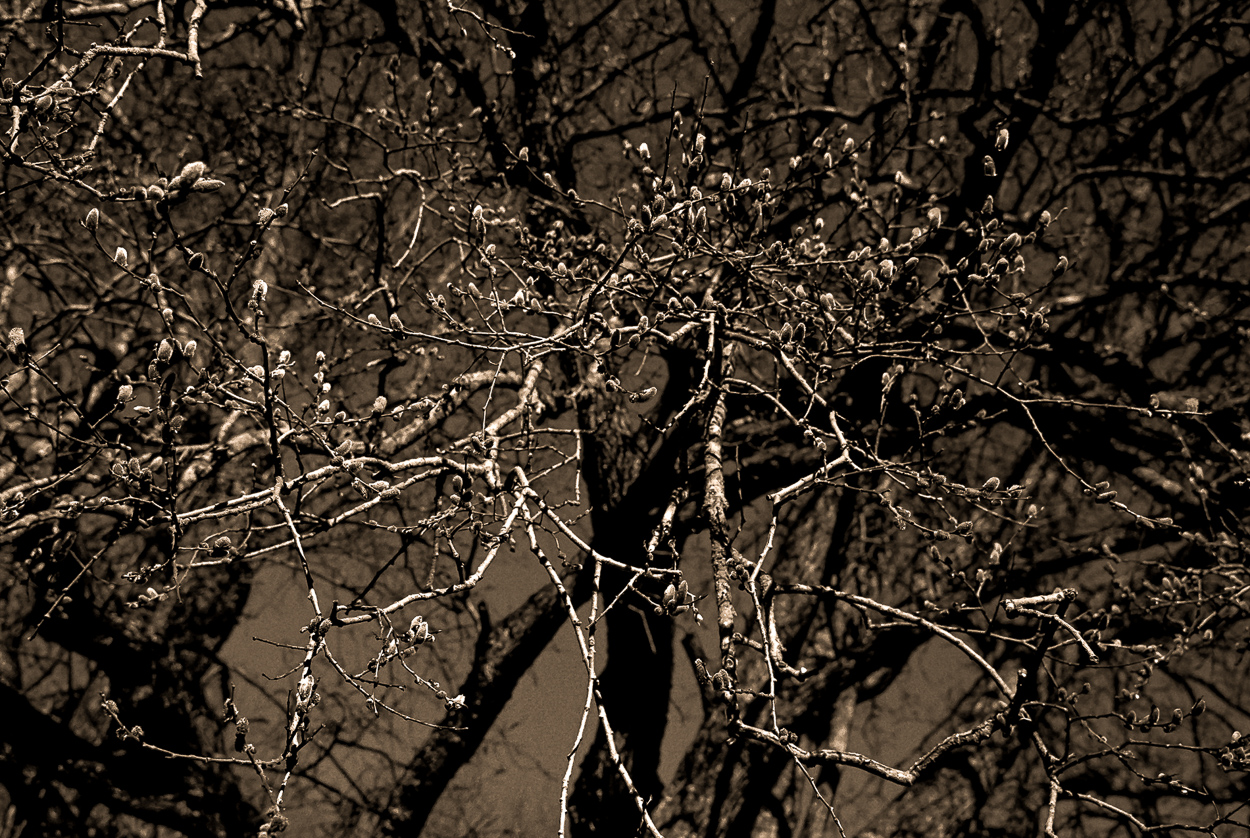 Manganese #10 by Mari Amman, 2016-2020