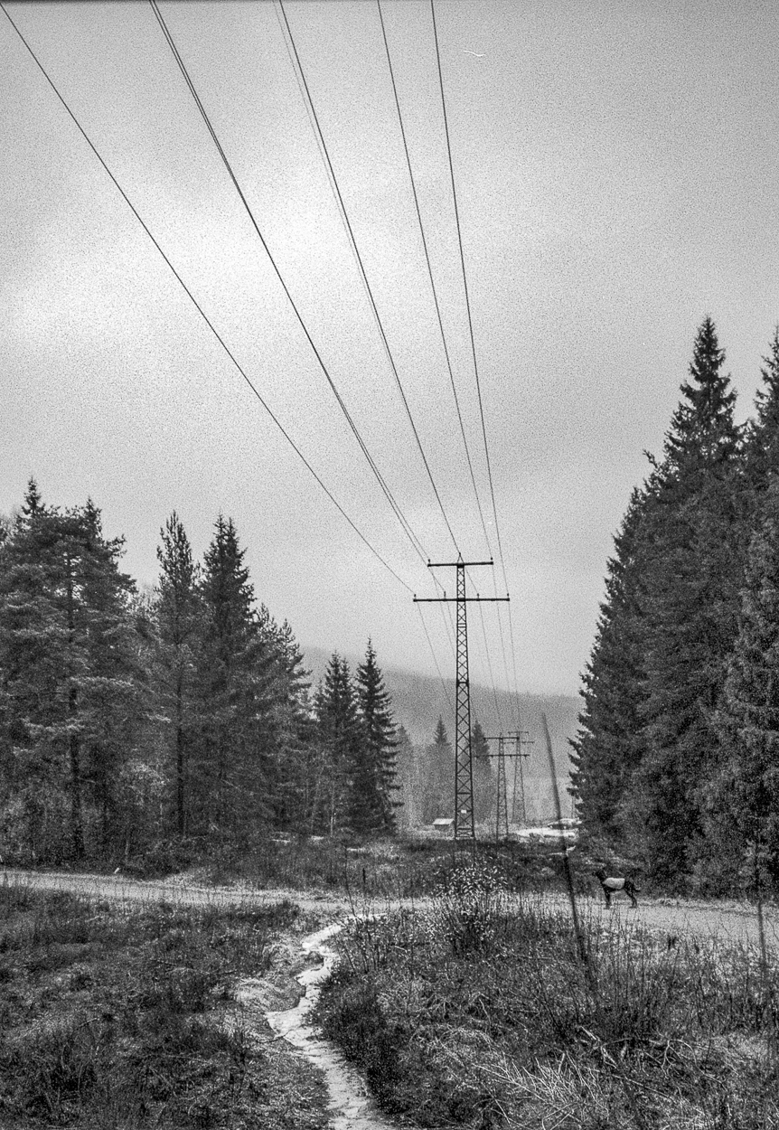 Tungtvann Heavy Water #108