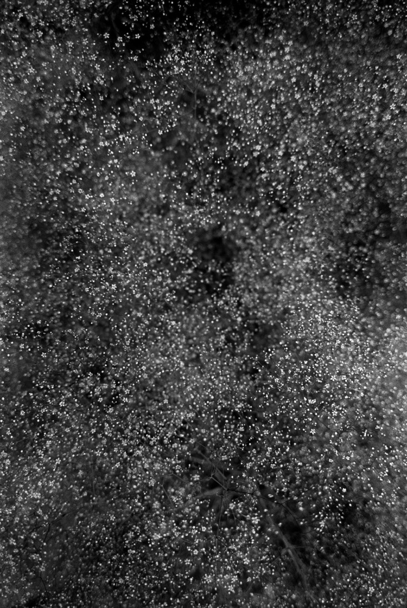 Vereri #13 by Mari Amman, 2021