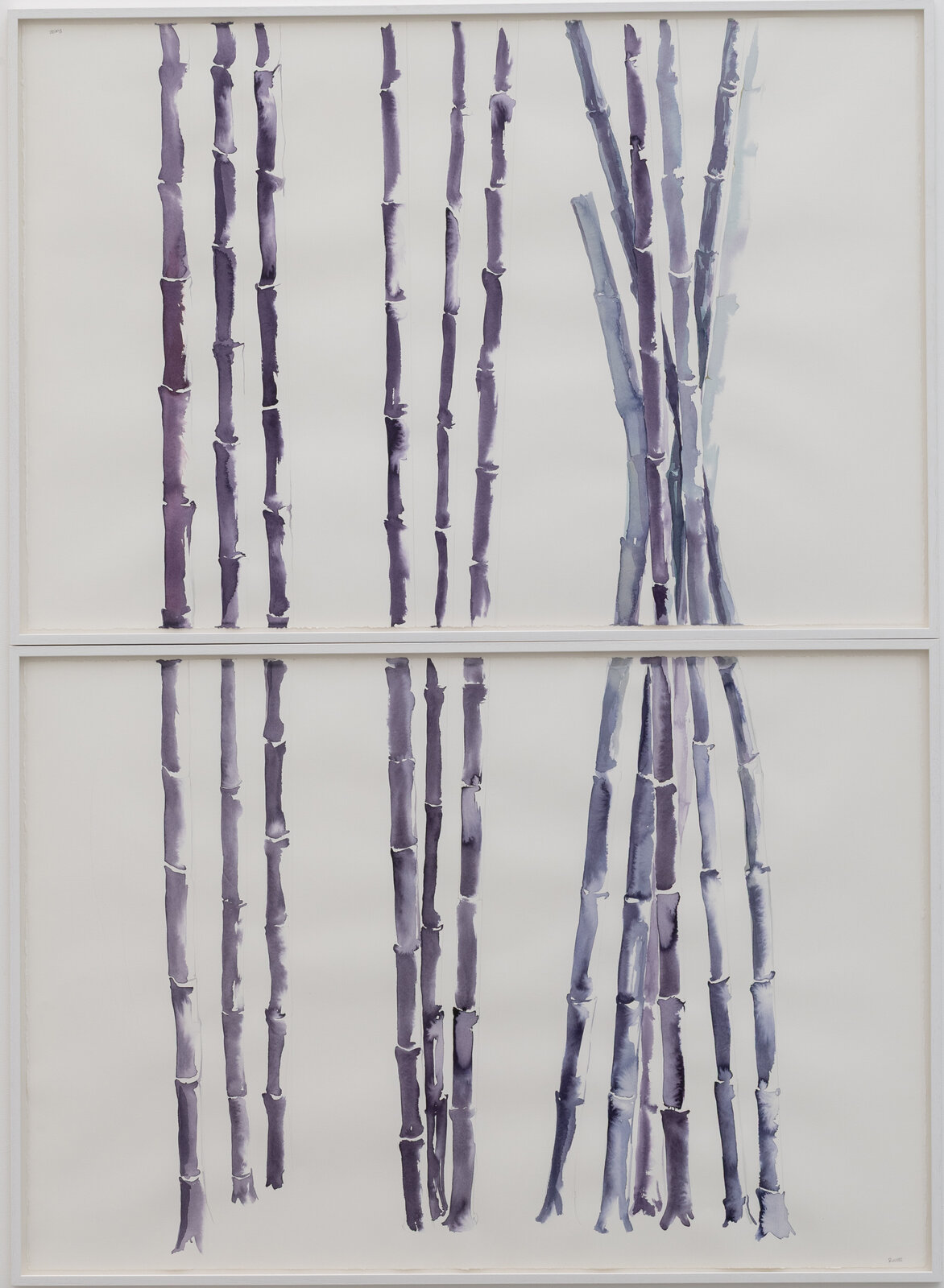 A diptych of vertical bamboo stalks rendered in watercolor, split by a horizontal white band.
