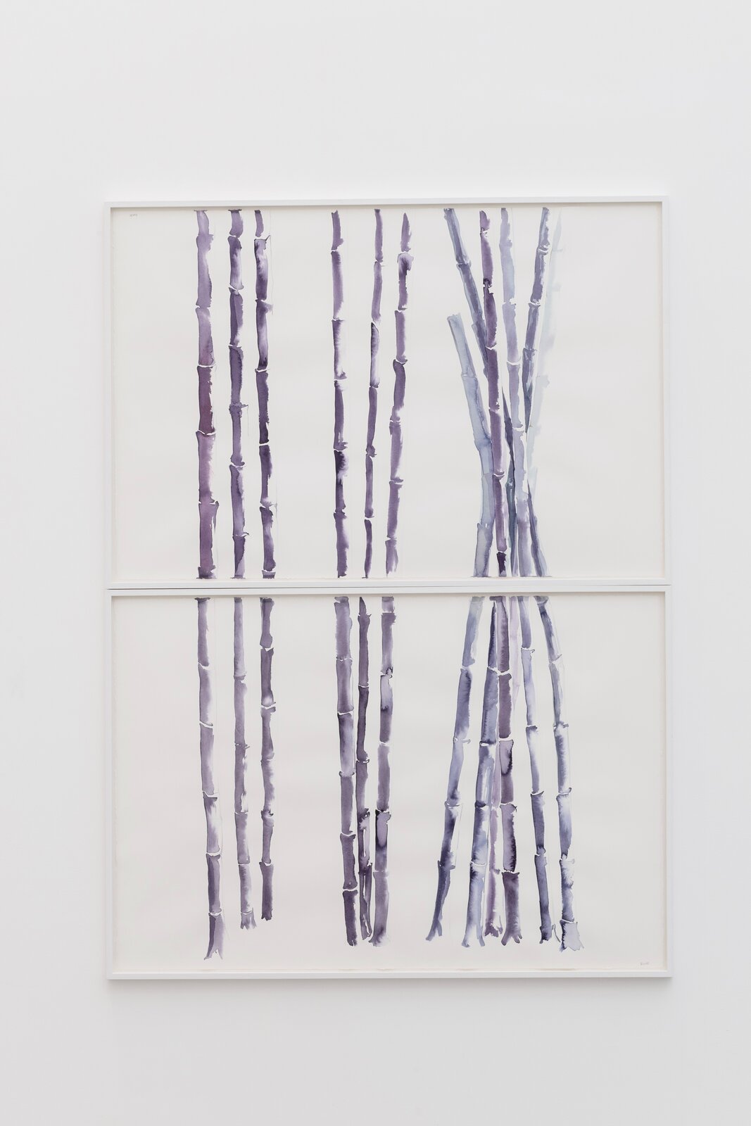 A diptych of vertical bamboo stalks rendered in watercolor, split by a horizontal white band.