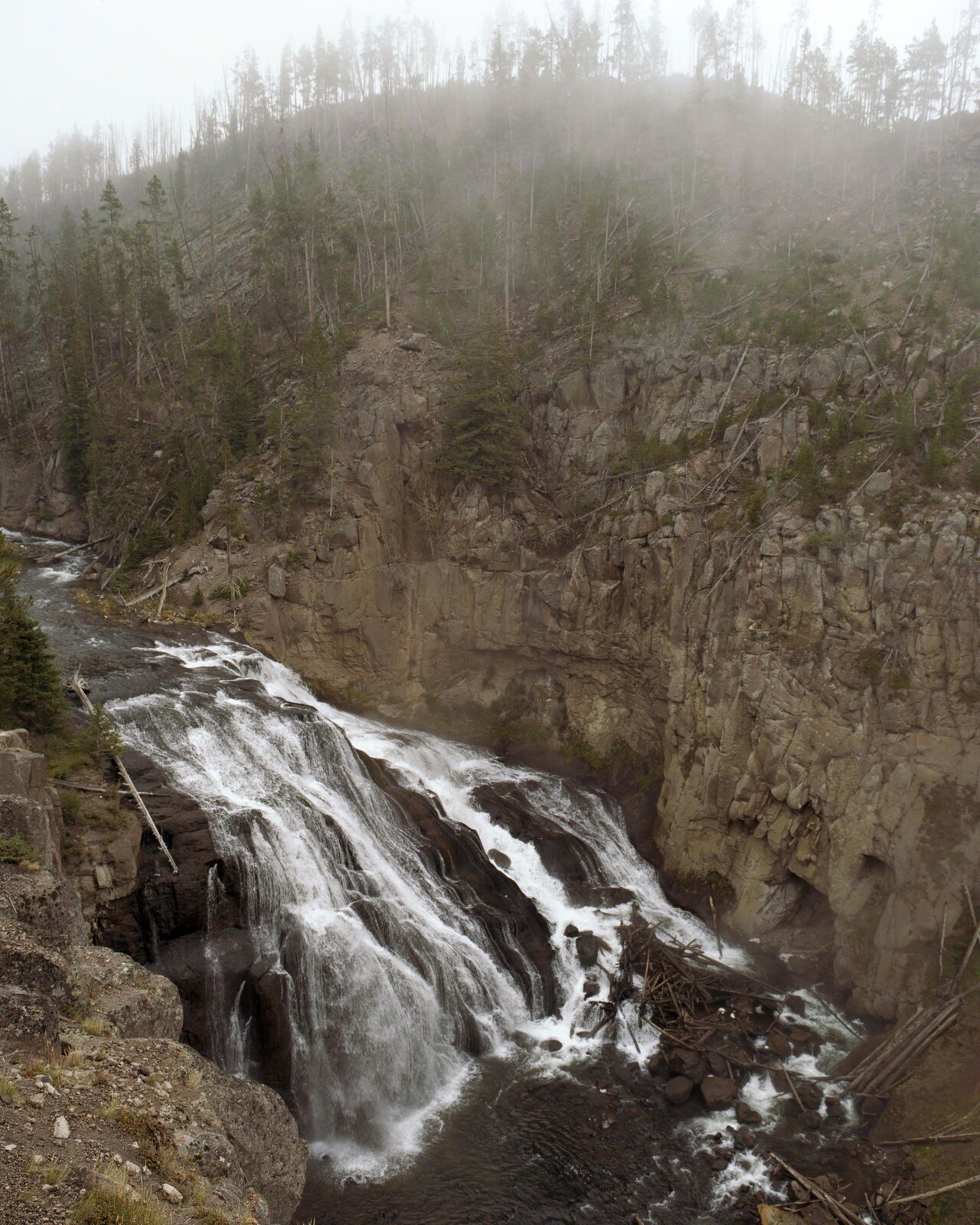 Artwork by Maria Passarotti