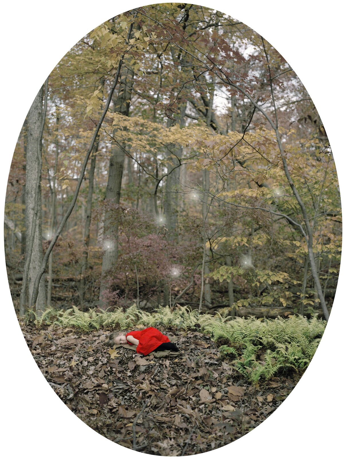 Bed of Leaves by Maria Passarotti, 2013
