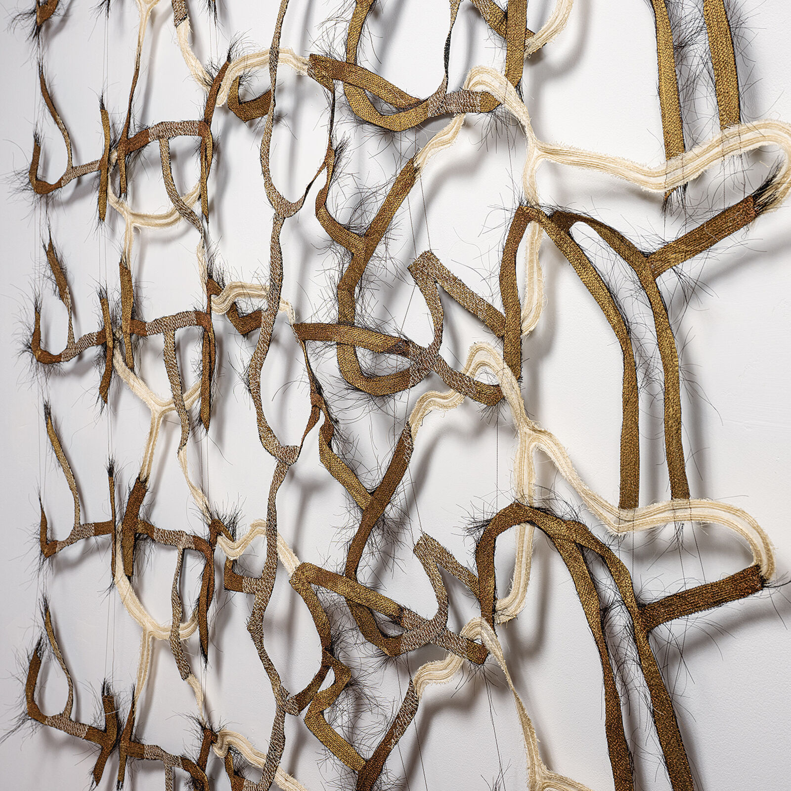 A tangled grid of organic, fibrous forms arranged in a square composition.