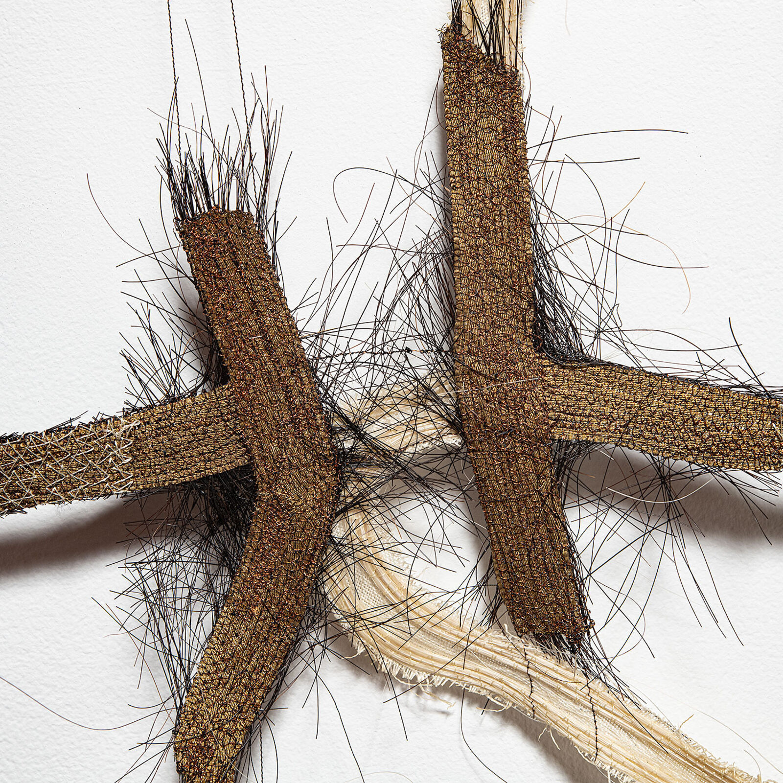 A tangled grid of organic, fibrous forms arranged in a square composition.