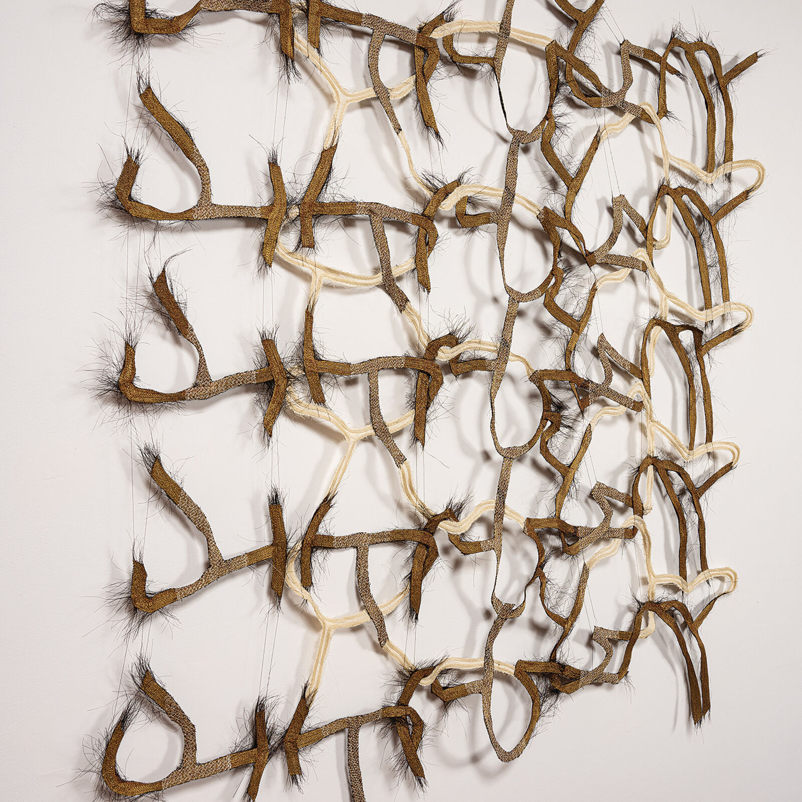 A tangled grid of organic, fibrous forms arranged in a square composition.