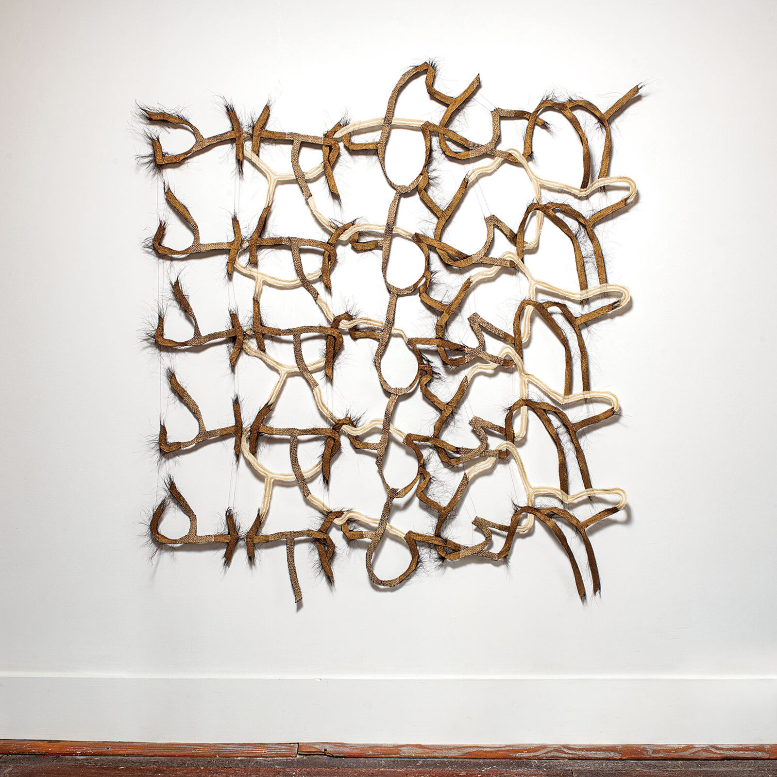 A tangled grid of organic, fibrous forms arranged in a square composition.