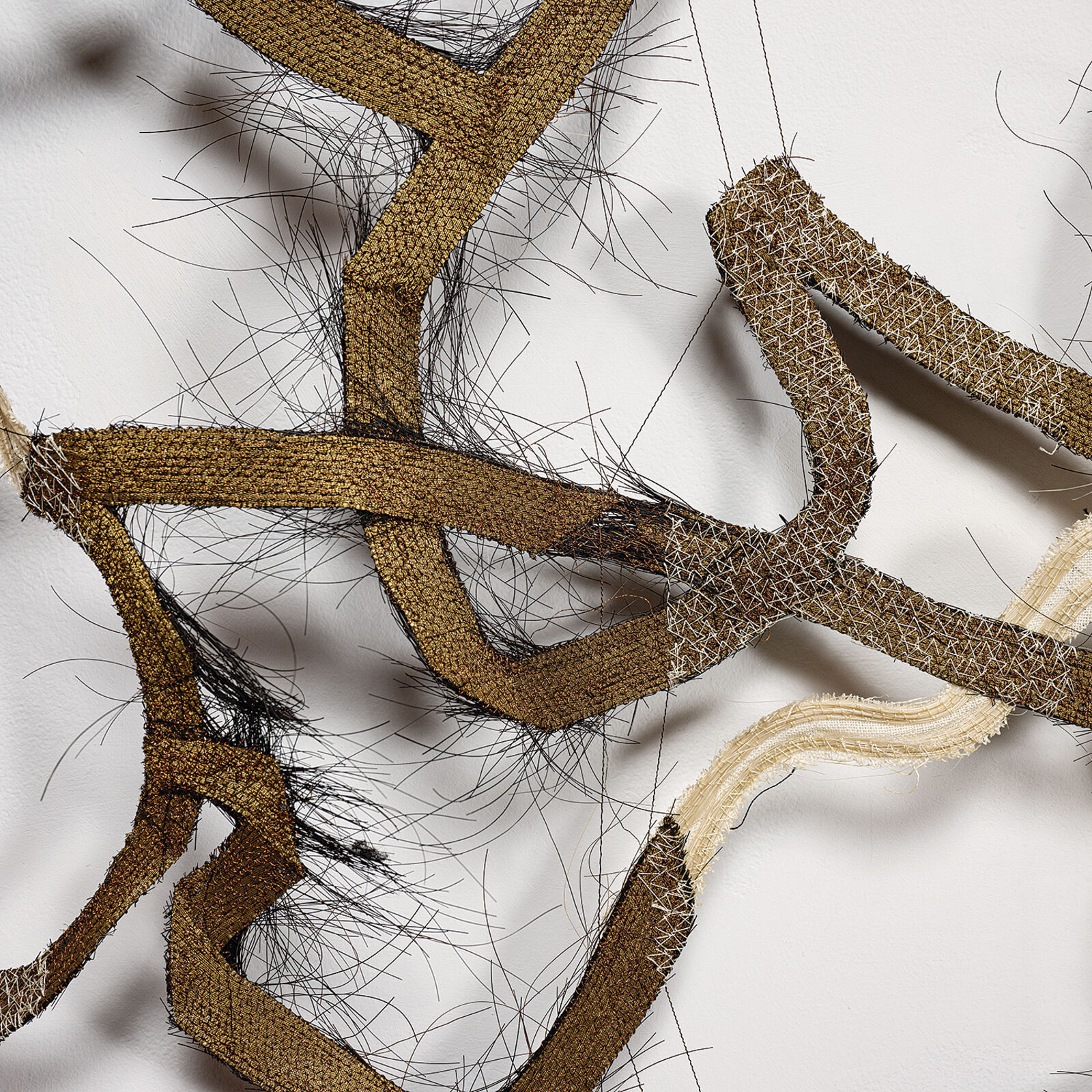 A tangled grid of organic, fibrous forms arranged in a square composition.