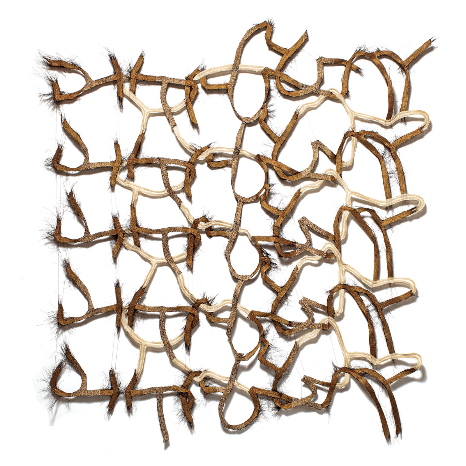 A tangled grid of organic, fibrous forms arranged in a square composition.