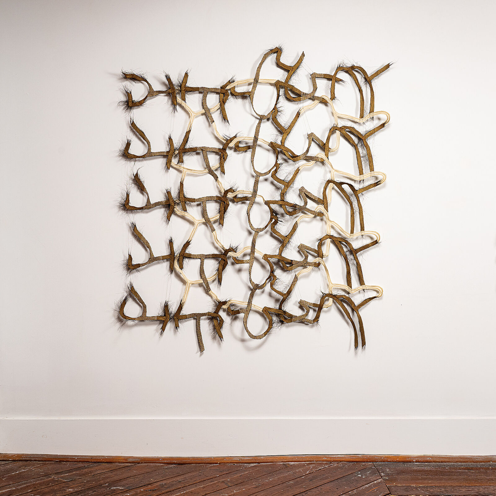 A tangled grid of organic, fibrous forms arranged in a square composition.