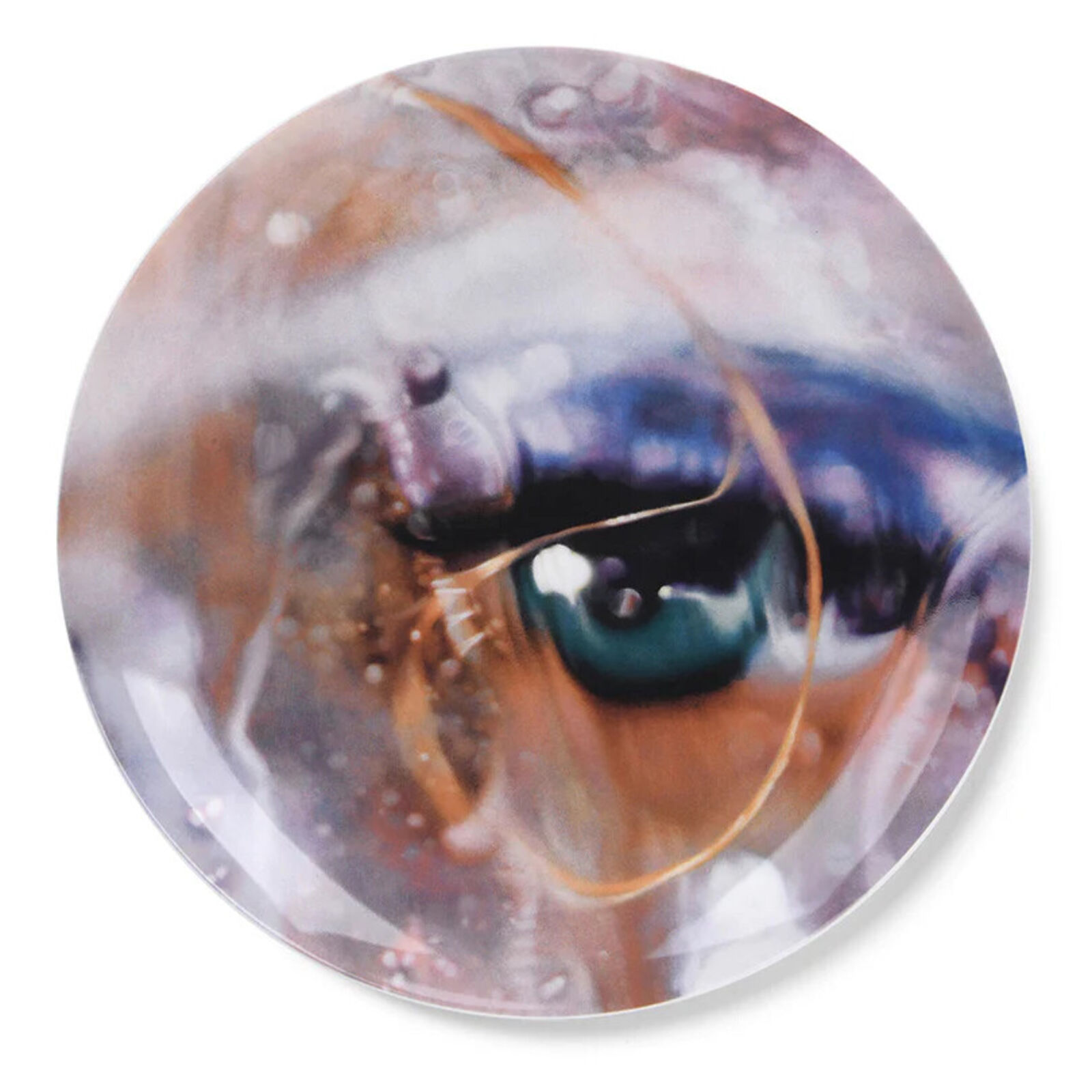 A close up of a glass plate with a painting of a woman's eye.